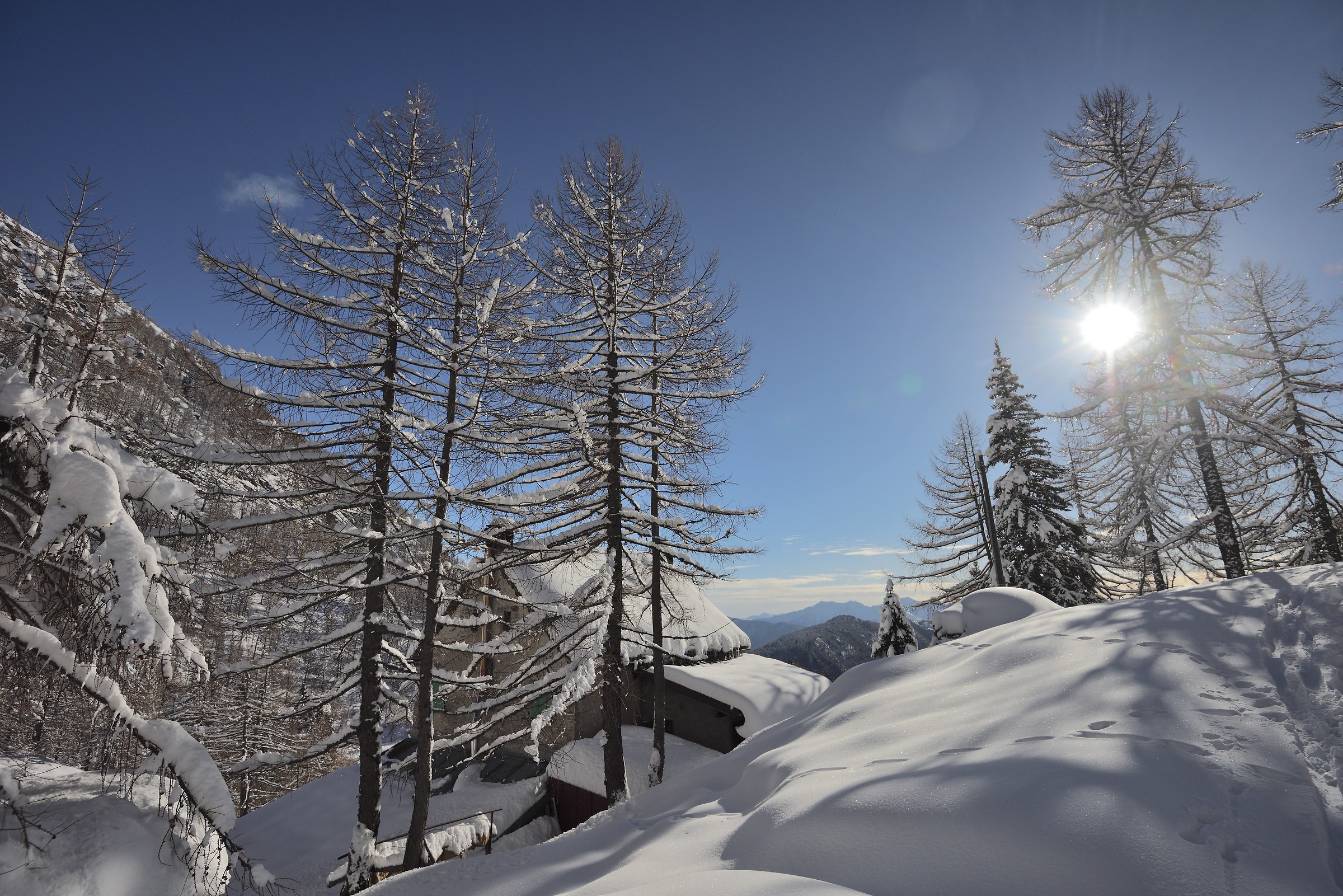 just above the shelter