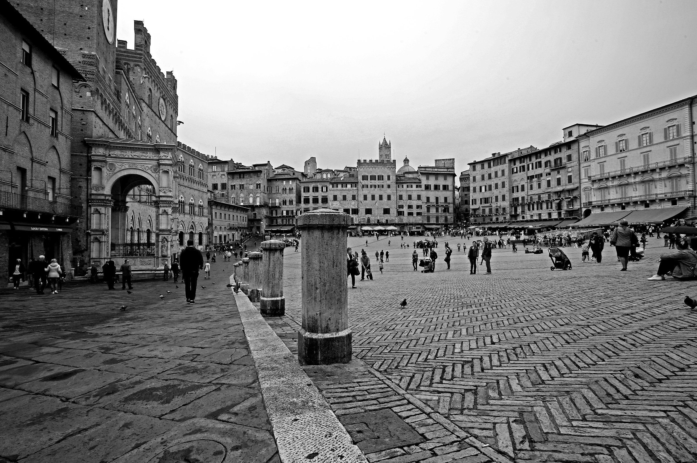In the Piazza del Campo, the verbena is born ...