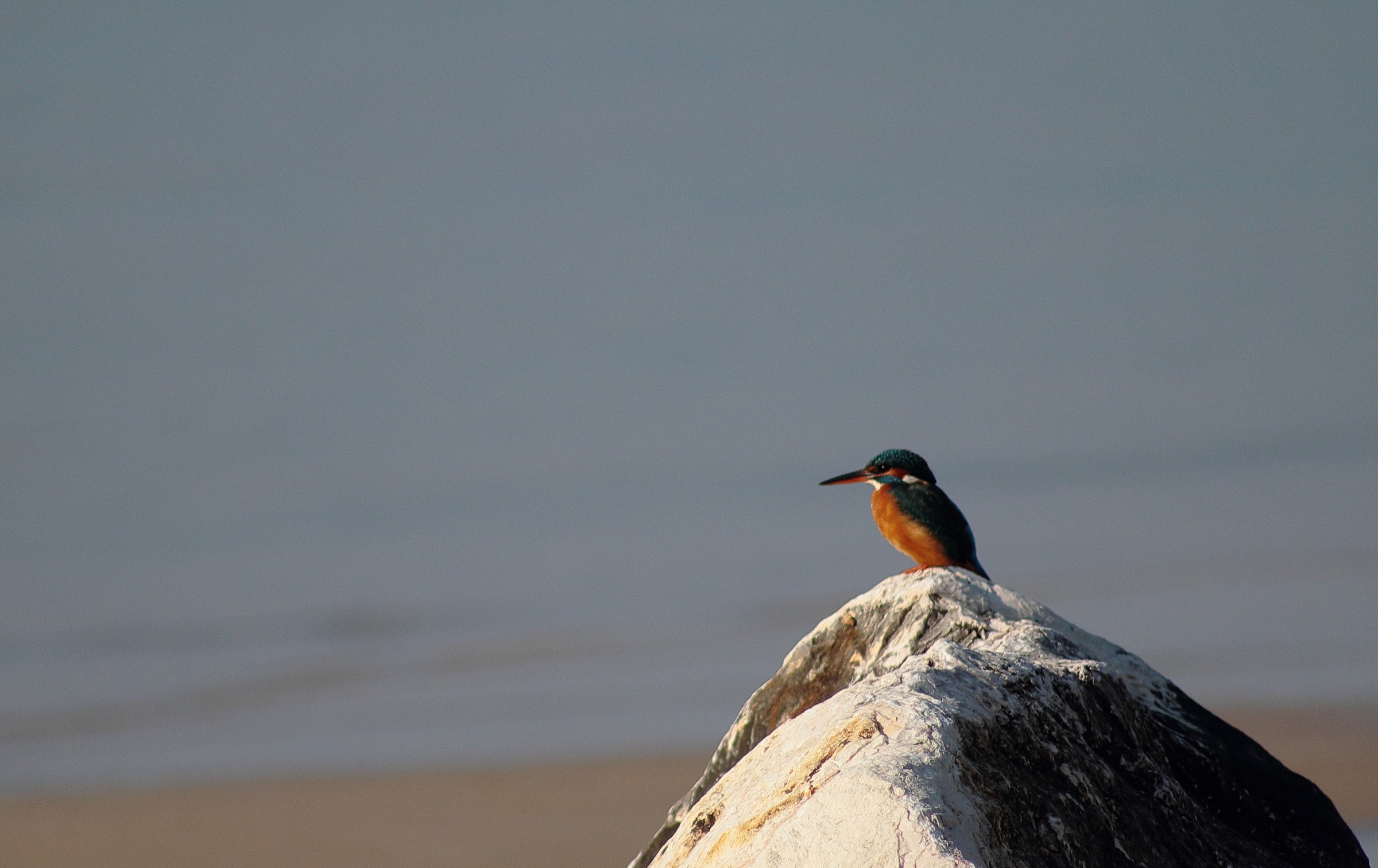 Looking at the horizon