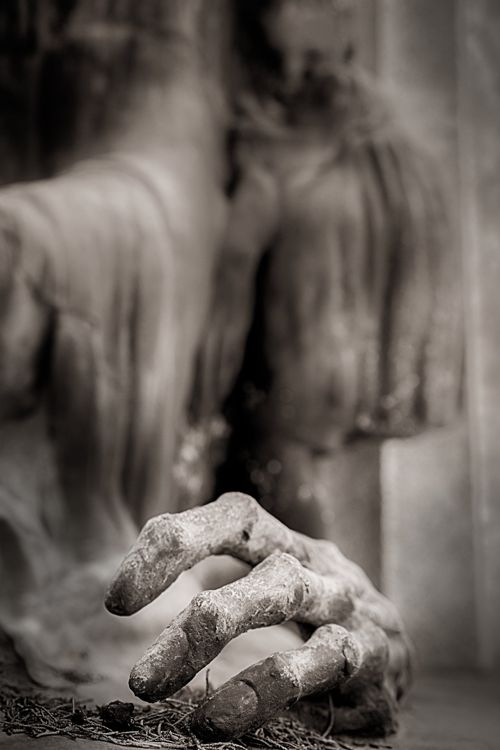 Verano cemetery, 2017.