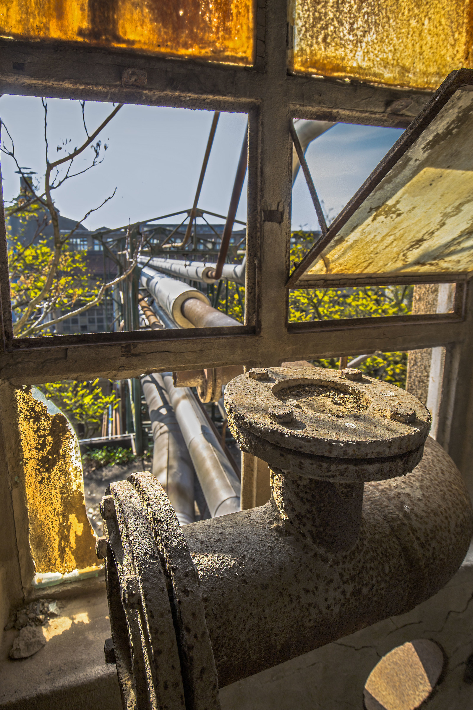The window on the courtyard