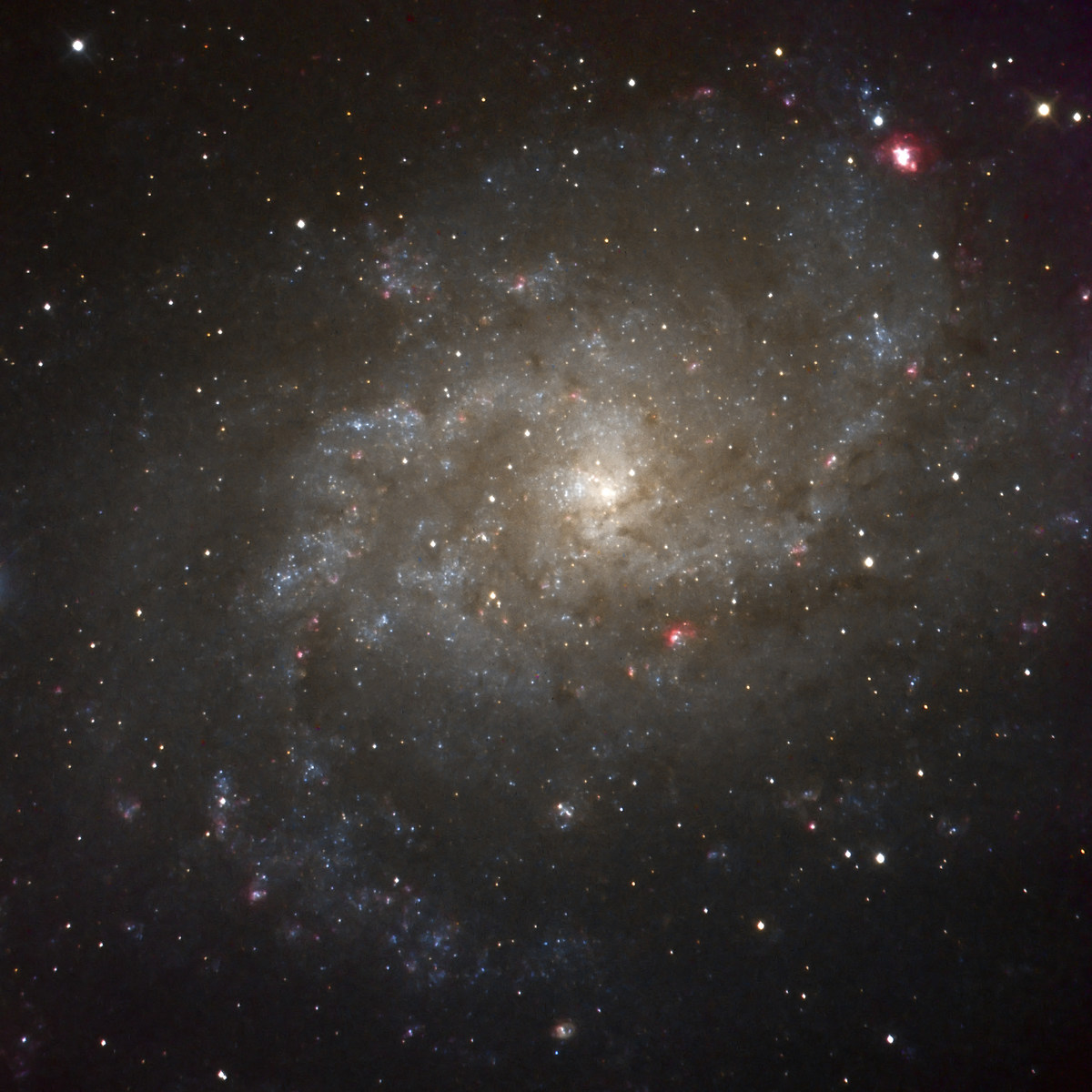 M33