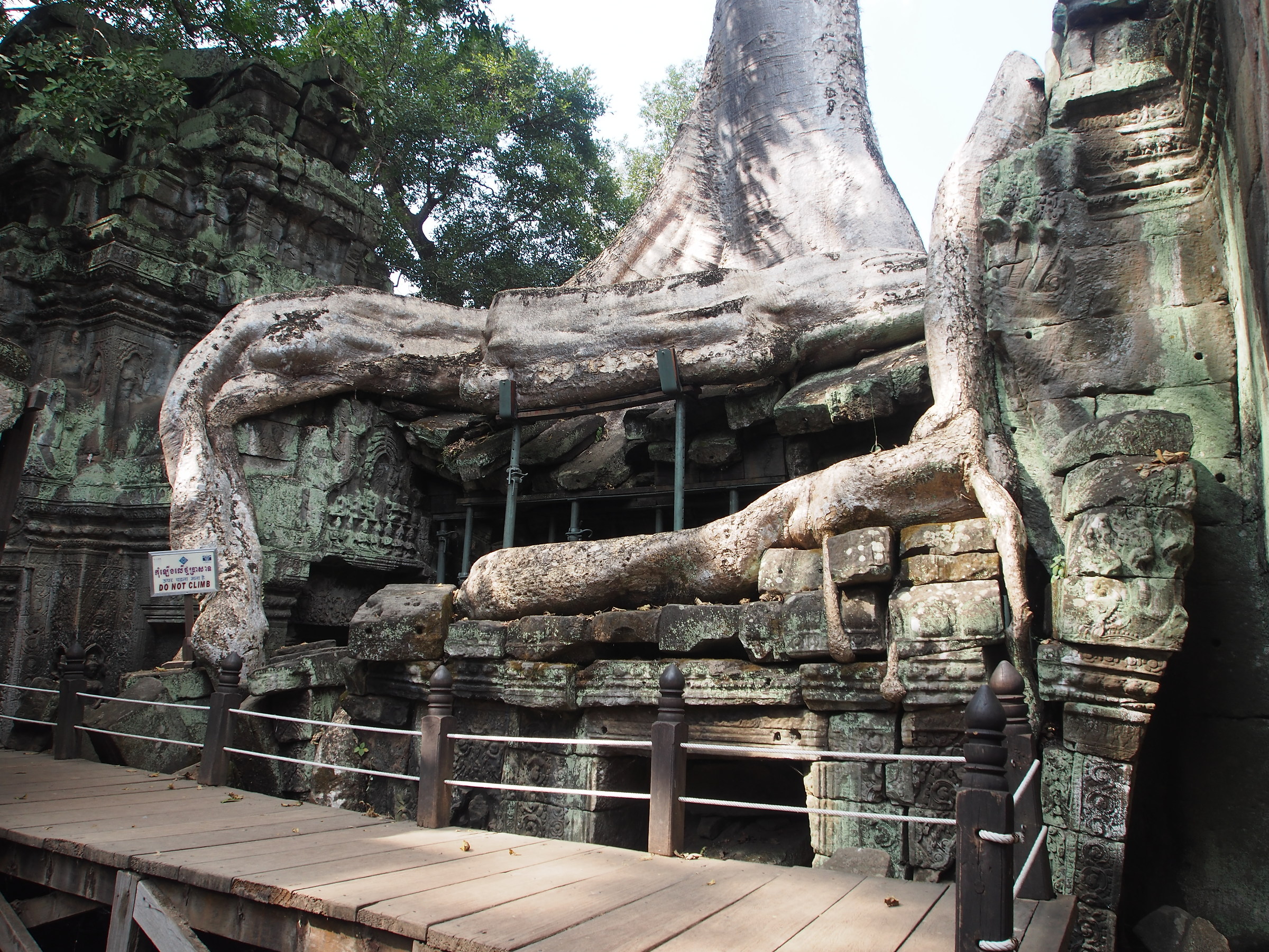 Cambogia: tempio TaProhm