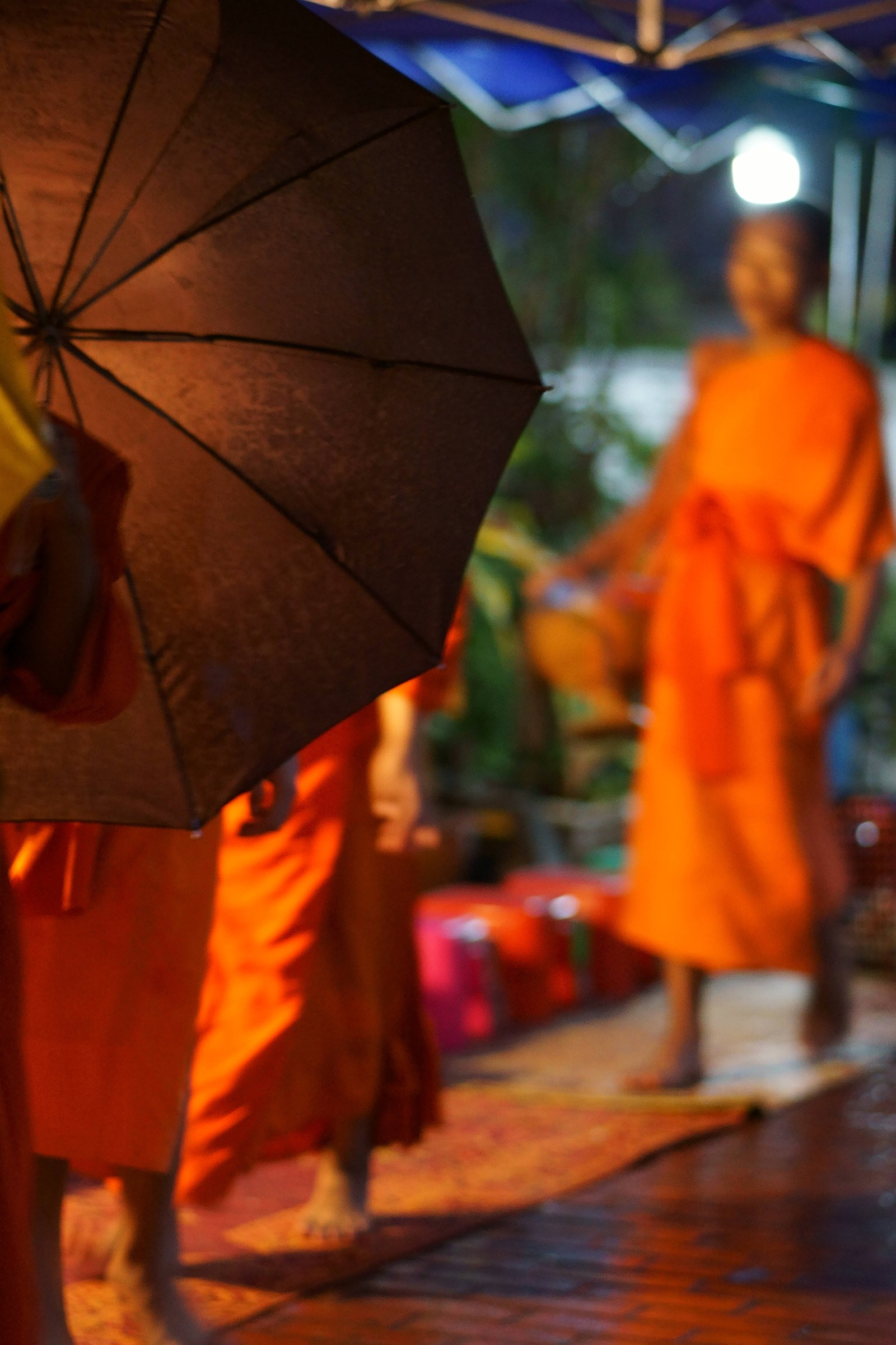 quest in the rain ...