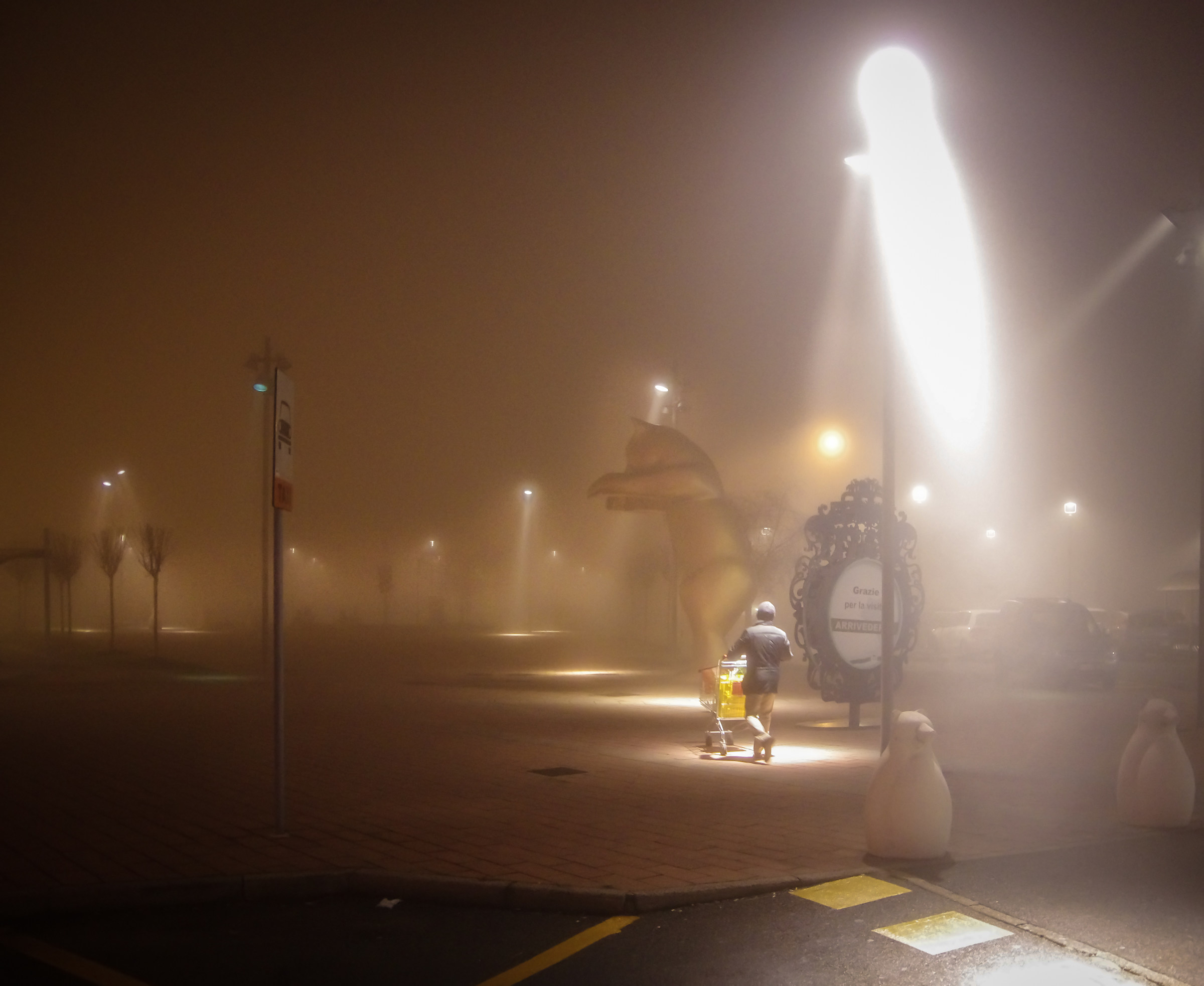 foggy night 2