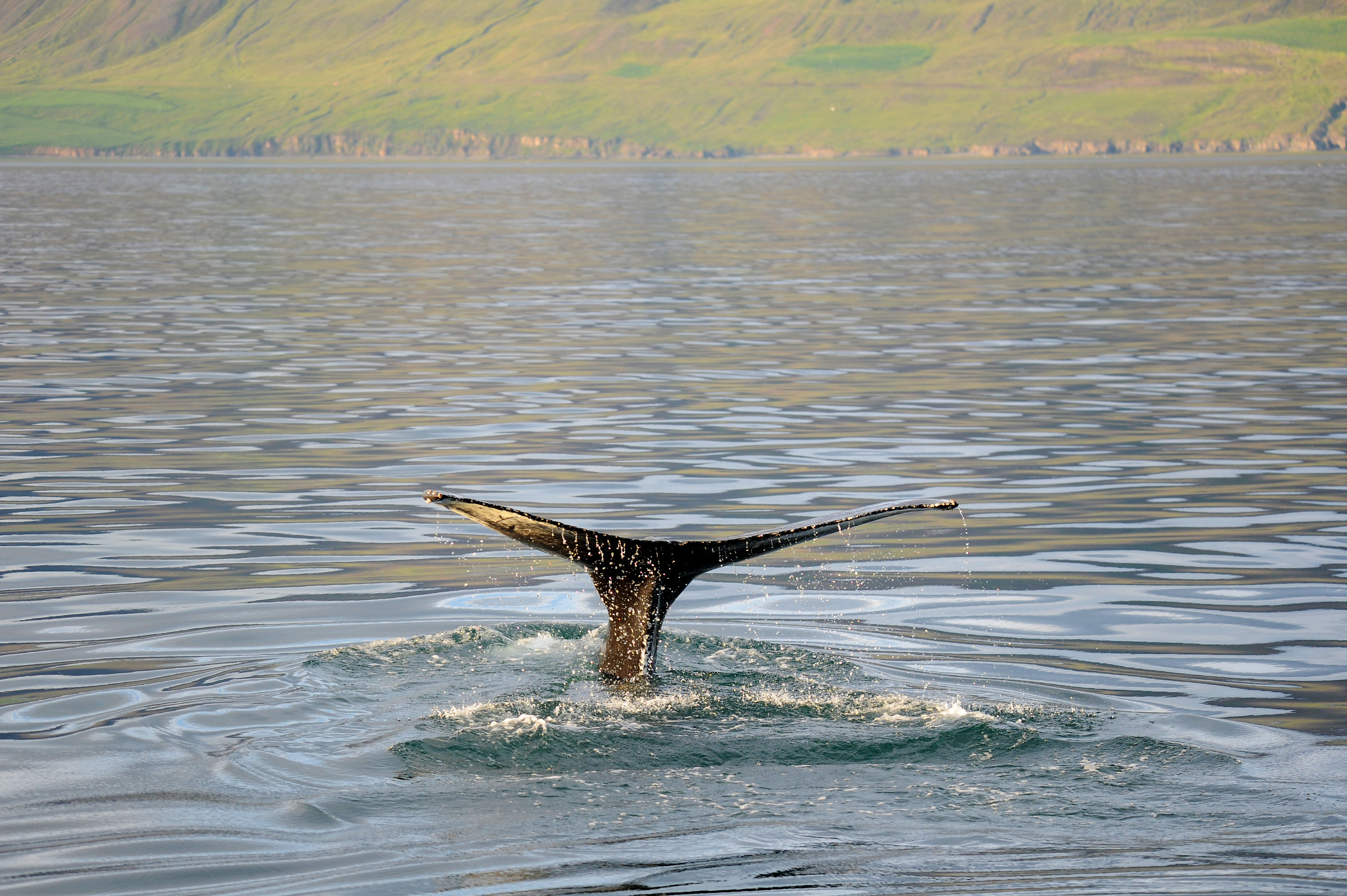 A part for the whole