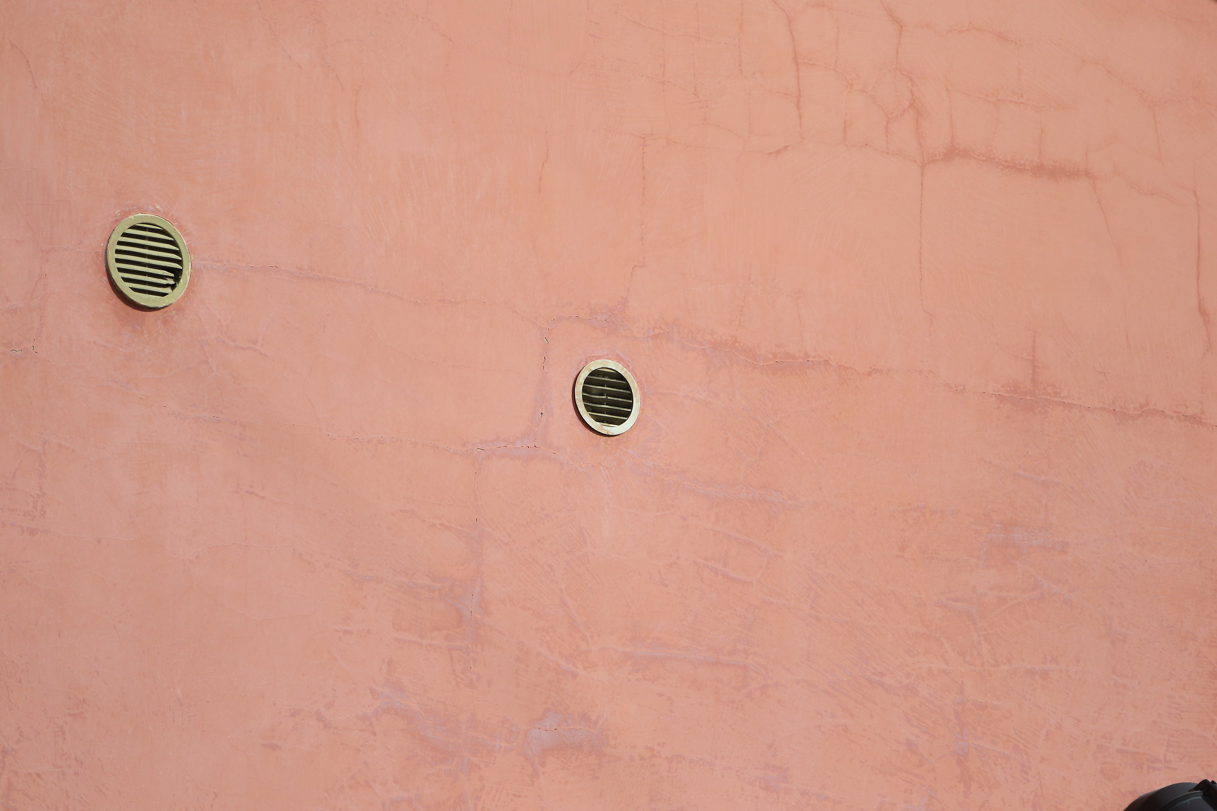 Canon 7D II + 500 f / 4 IS