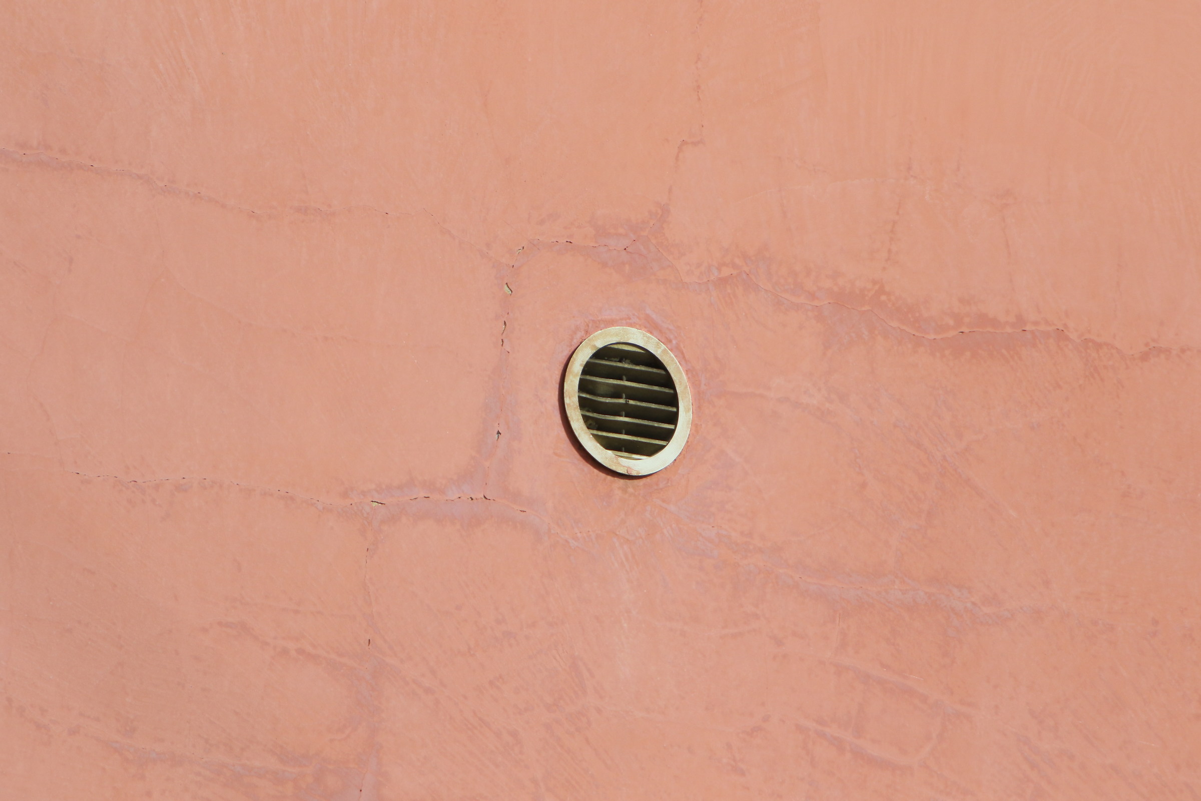 Canon 7D II + 500 f / 4 IS + 2x III