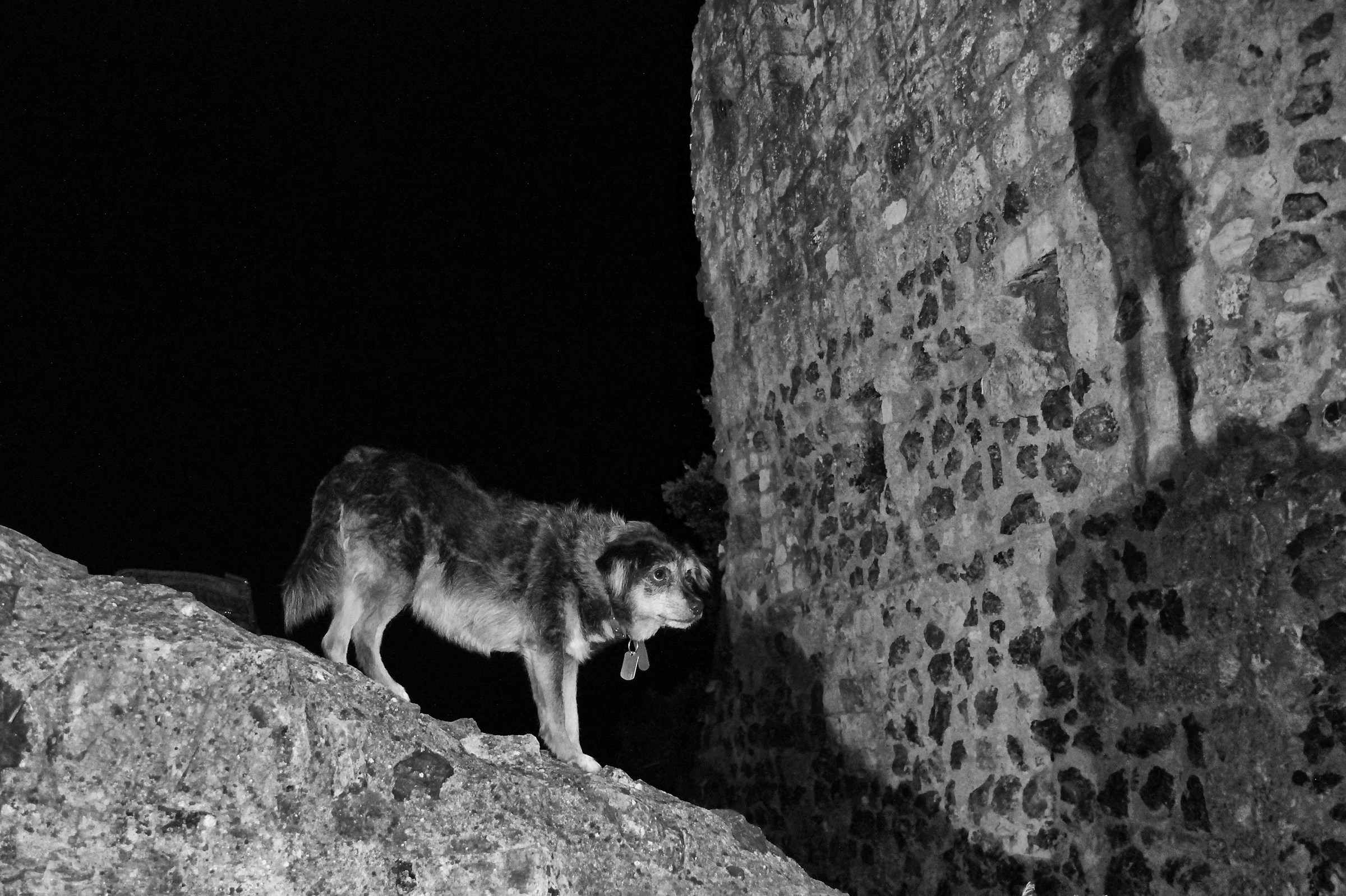 Seguirò anche solo la tua ombra