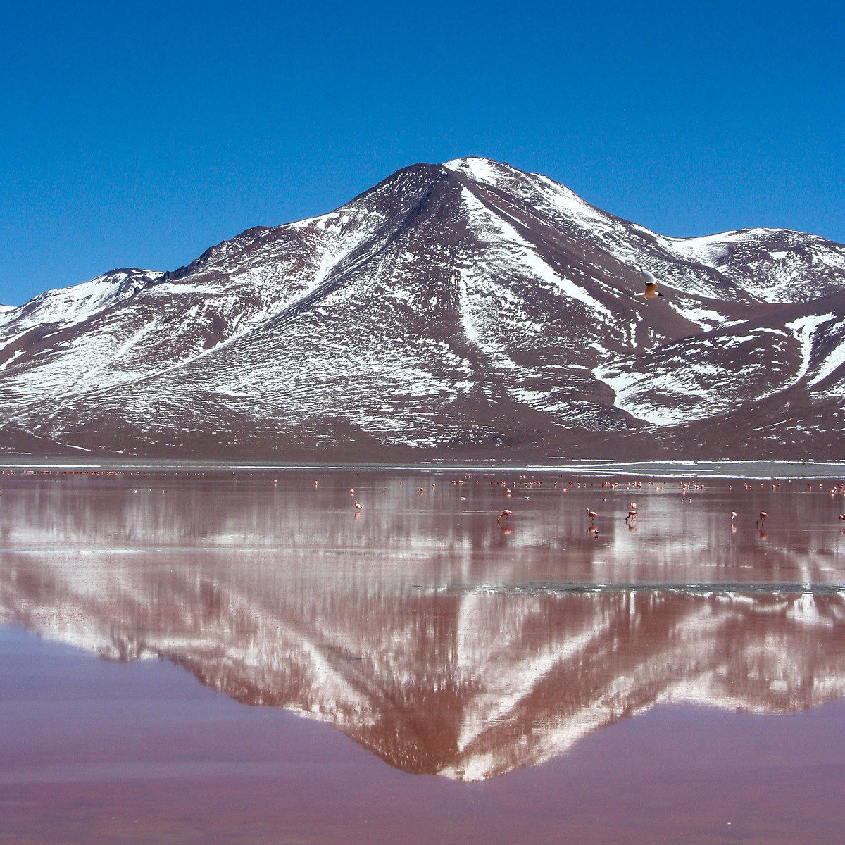 A volcanic tipetto (Licancabur)