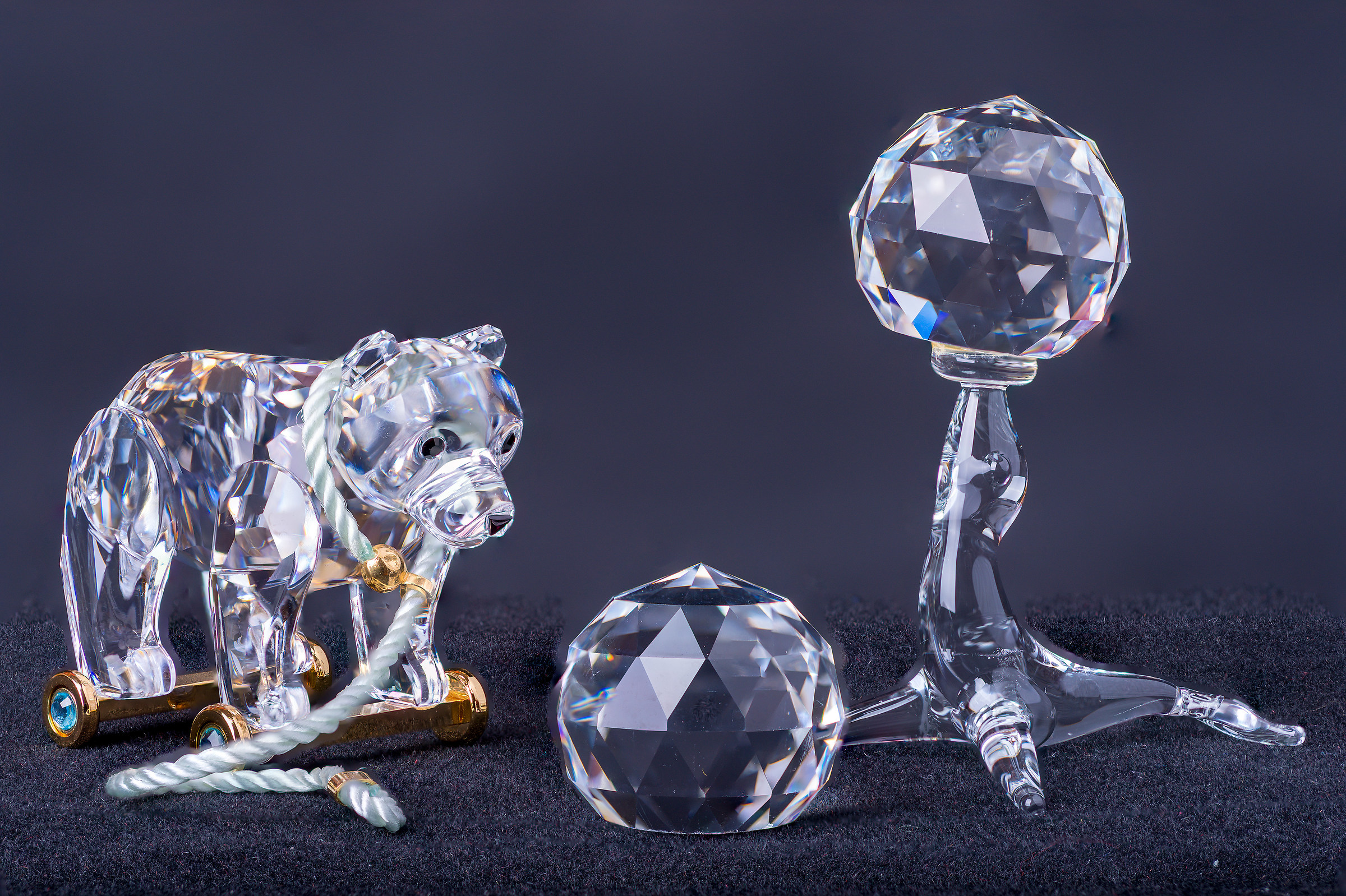 the Bear and the Seal