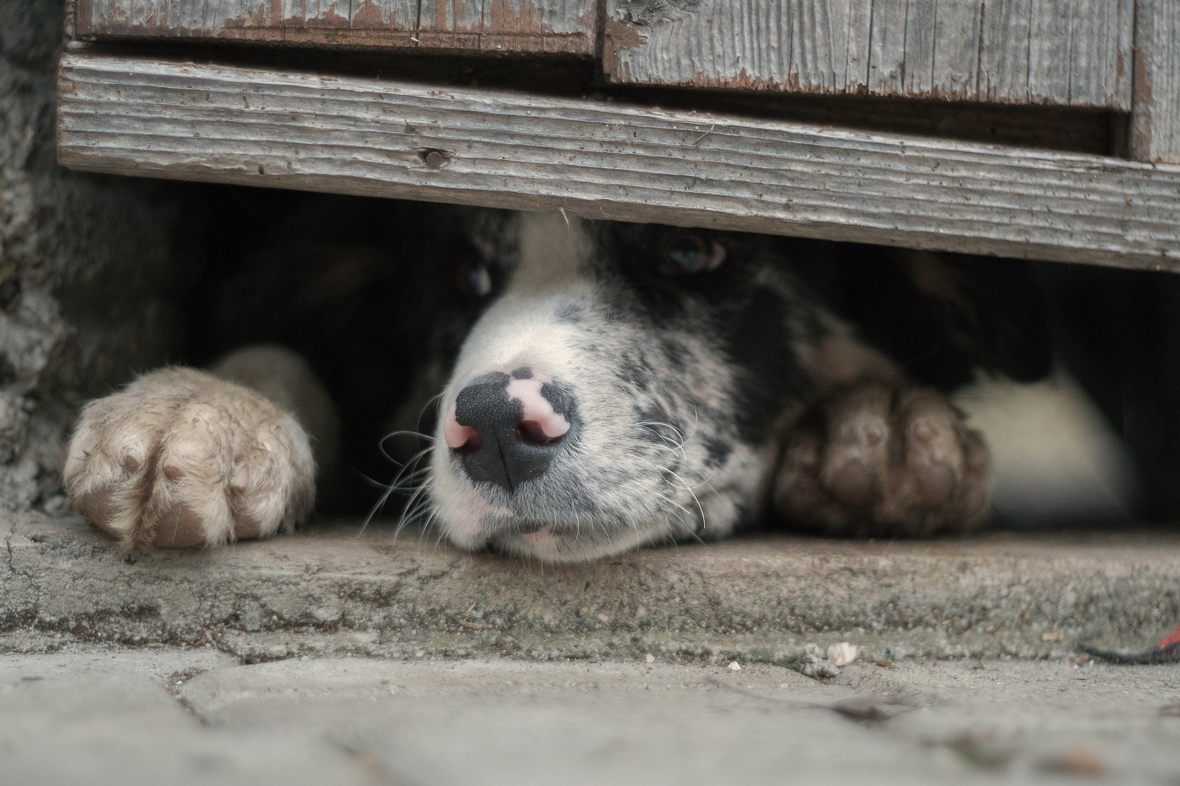 L'espressione della libertà
