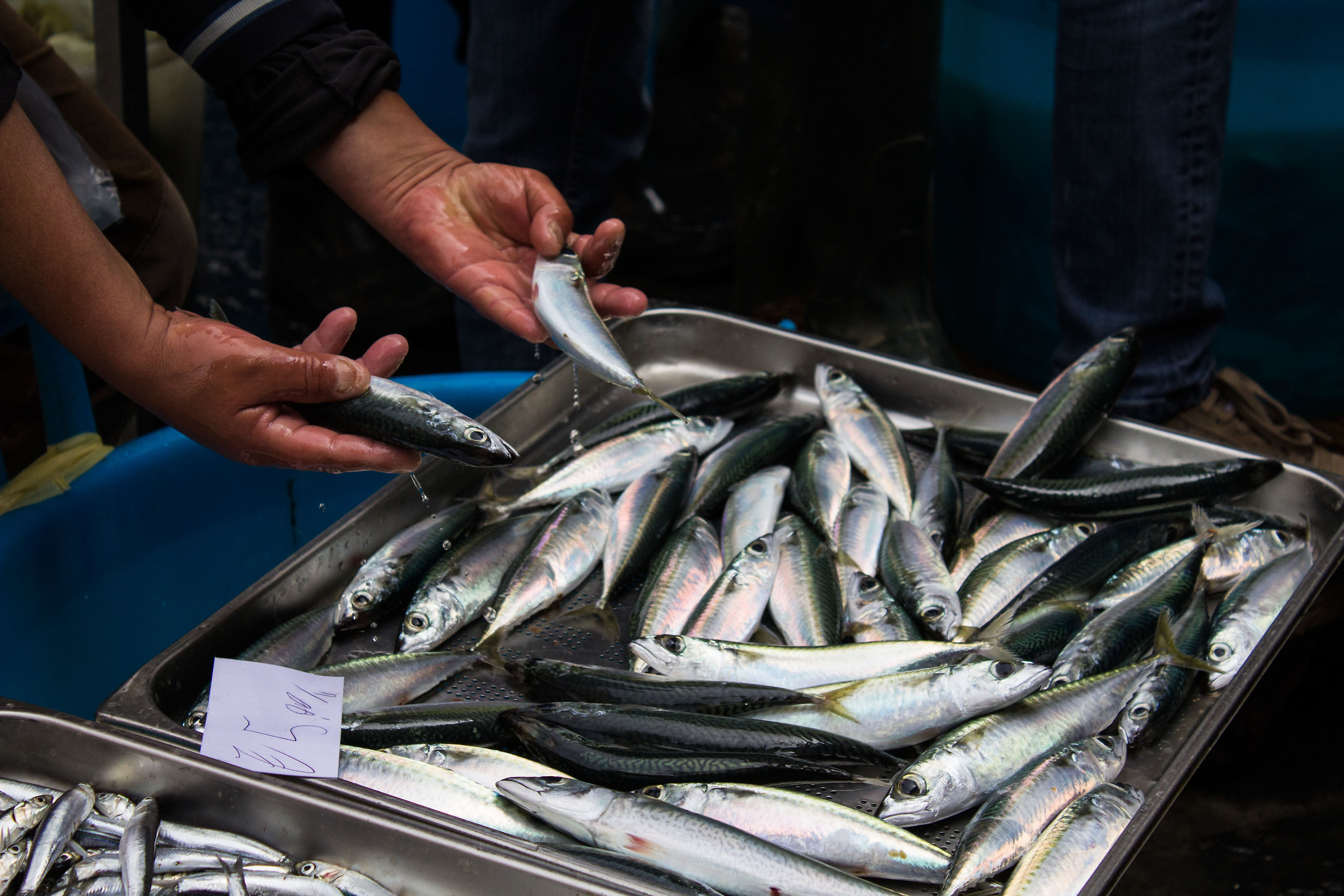 Fish Market - Catania (what a show!)