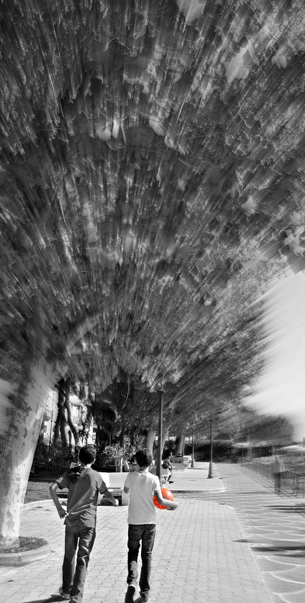 Lunga vita allo sport