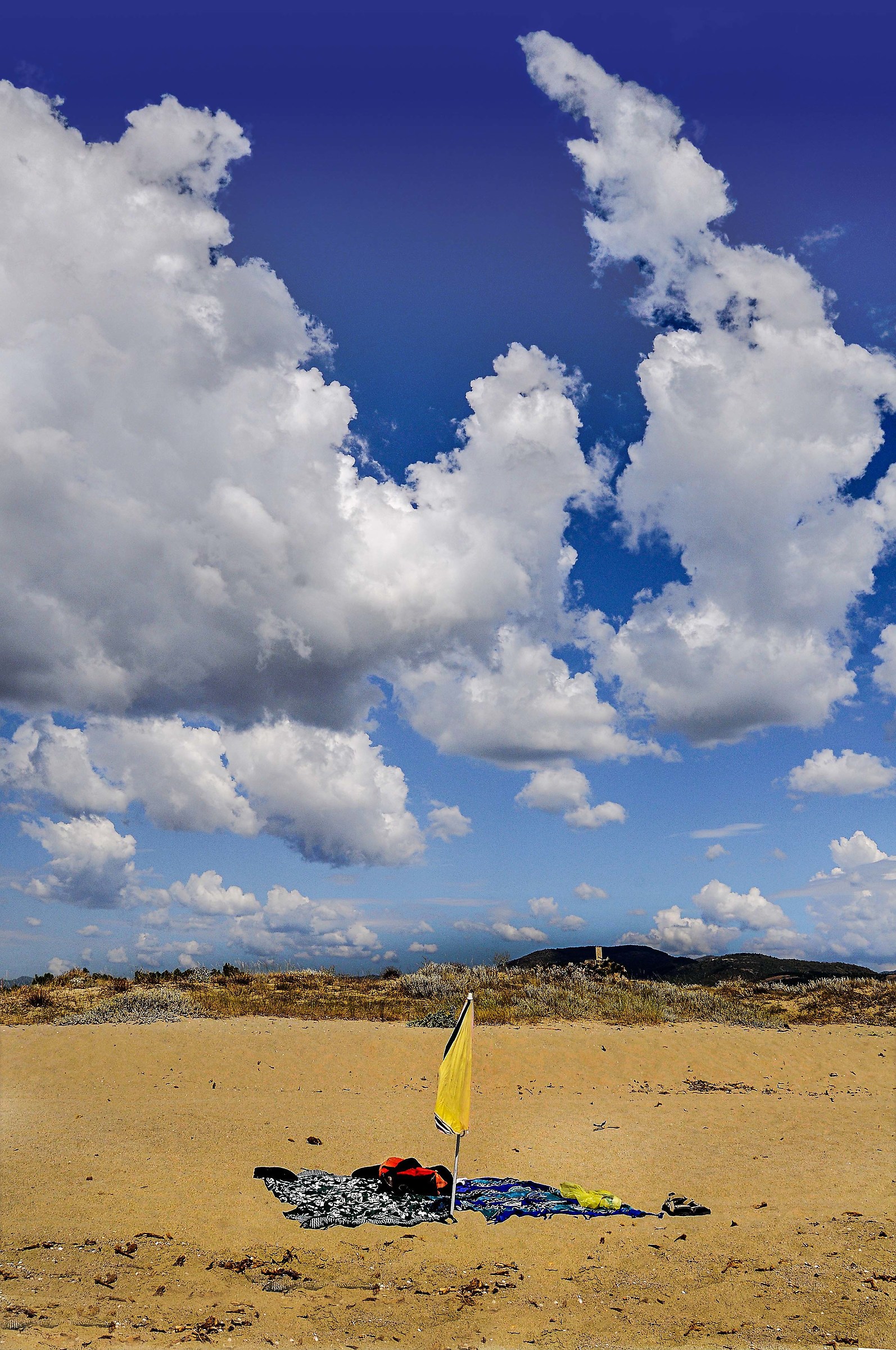 the solitary parasol
