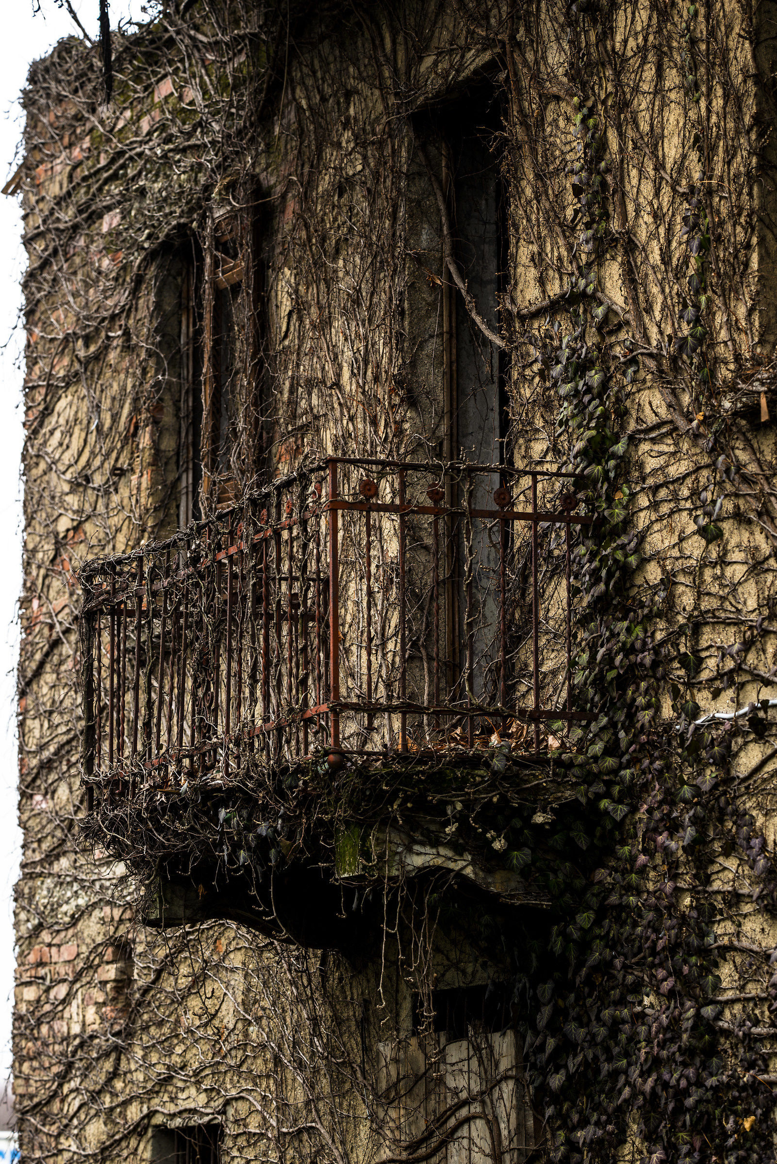 Traces of past lives 1