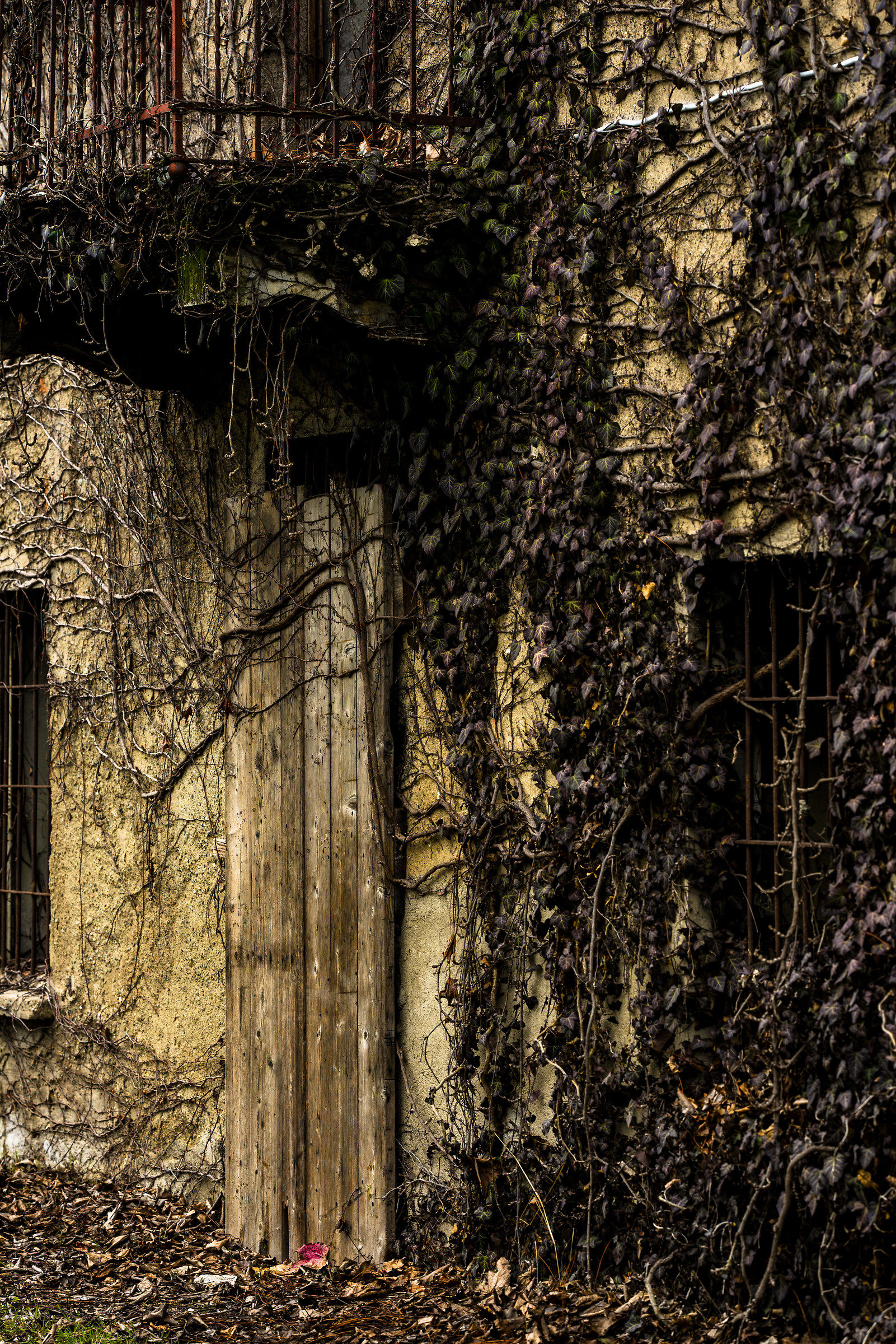 Traces of past lives 2