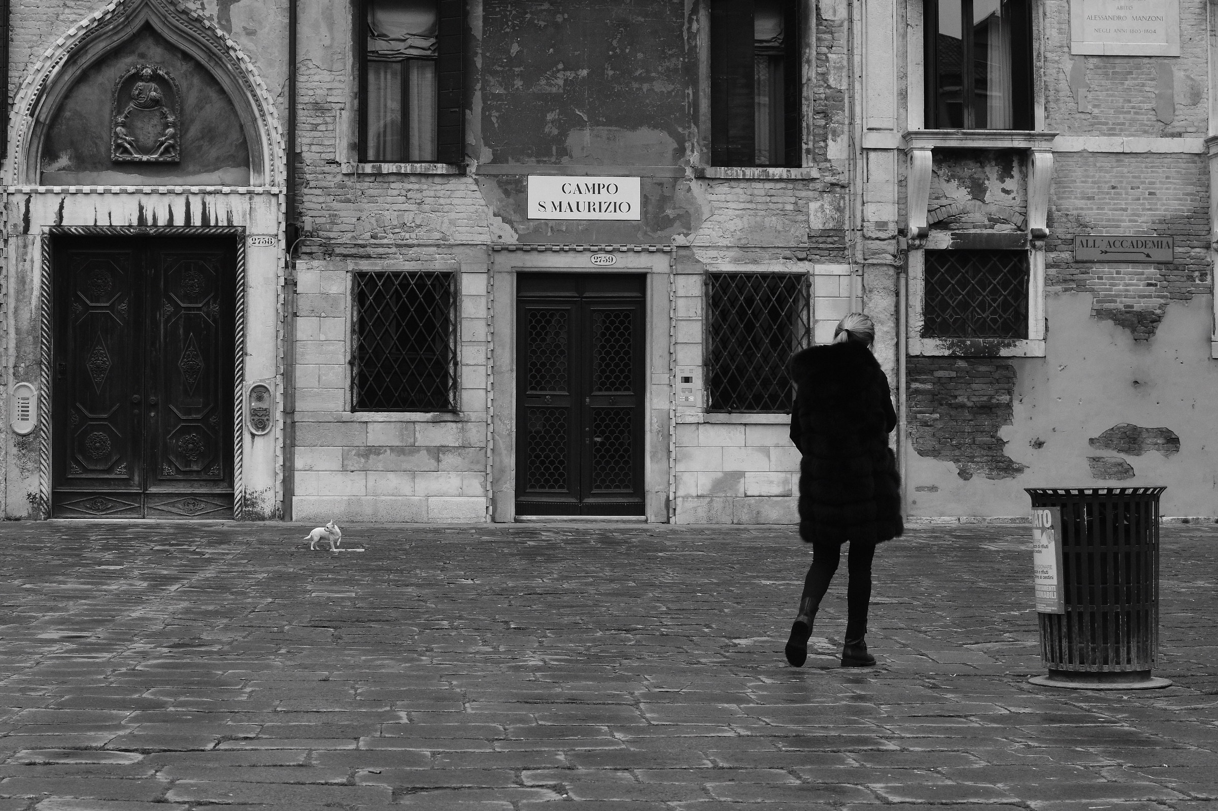 The girl with the dog