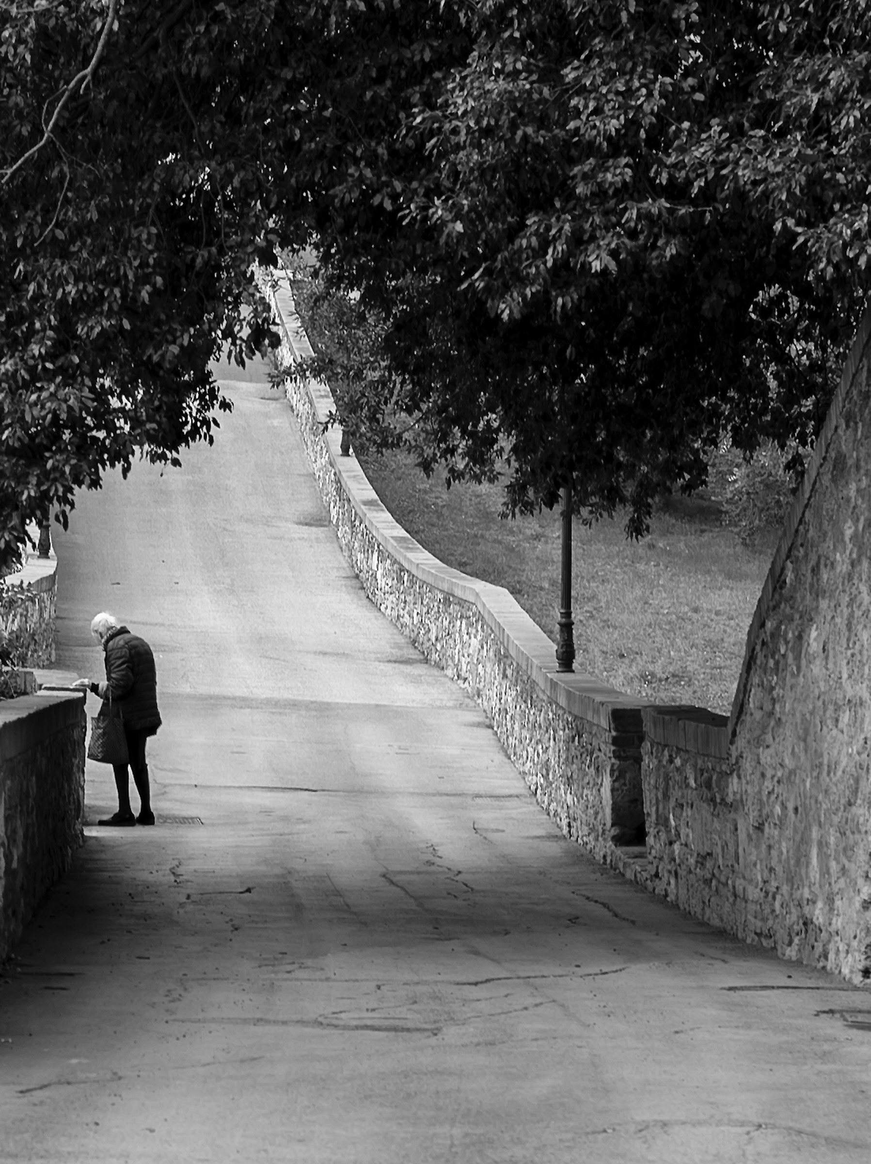 domanda,la soliturdine? pessima compagna!!!