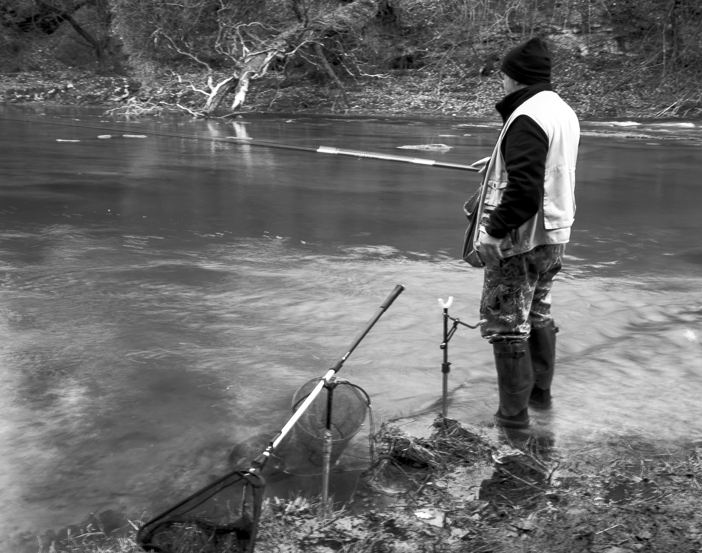 Tonight ,, FRIED mixed !!!