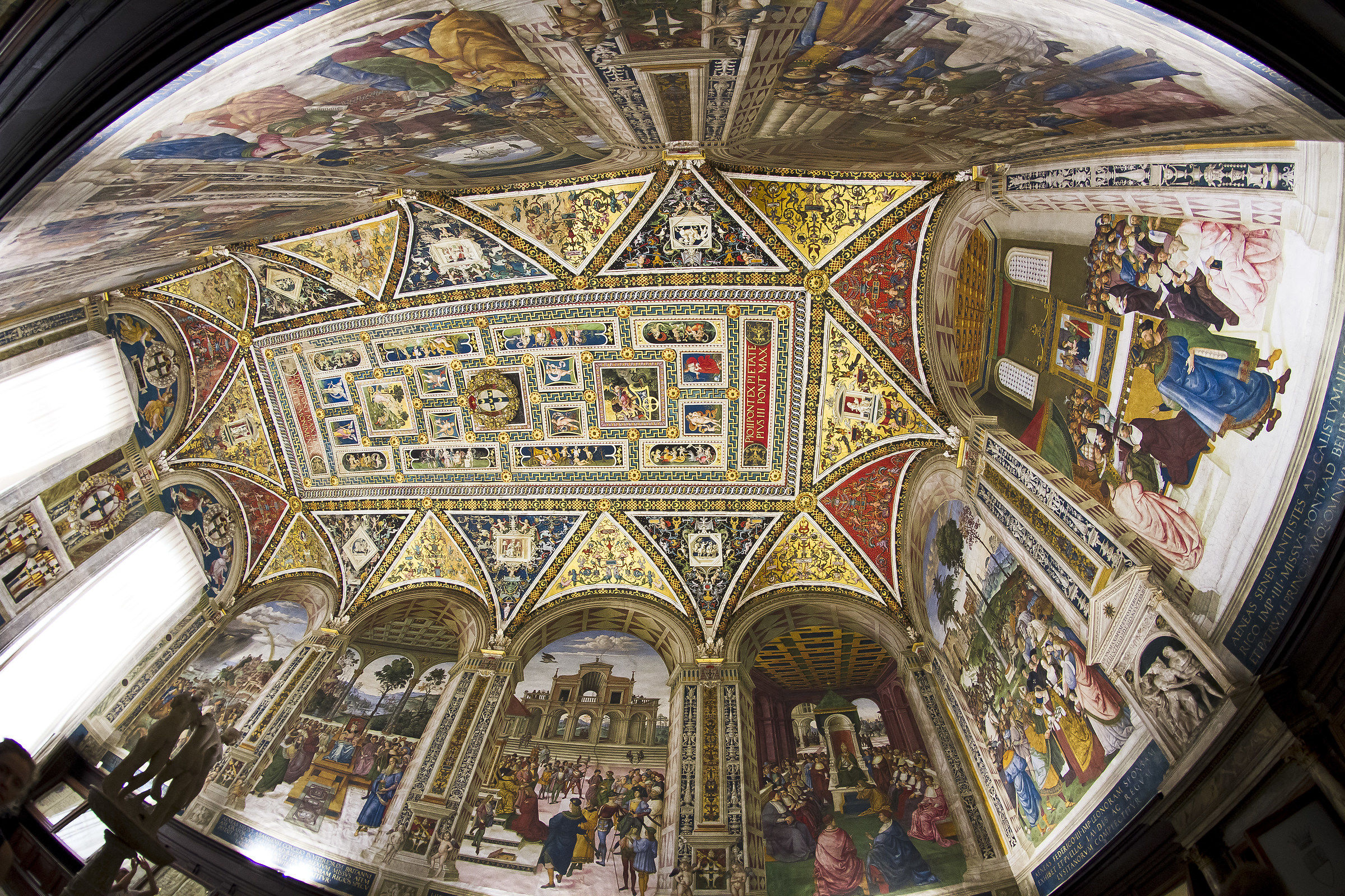 Duomo di Siena (la biblioteca)