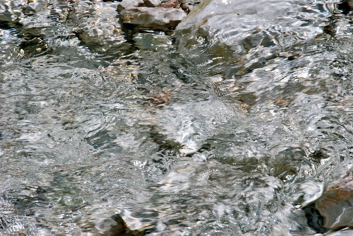 l'acqua del rio fiscalino