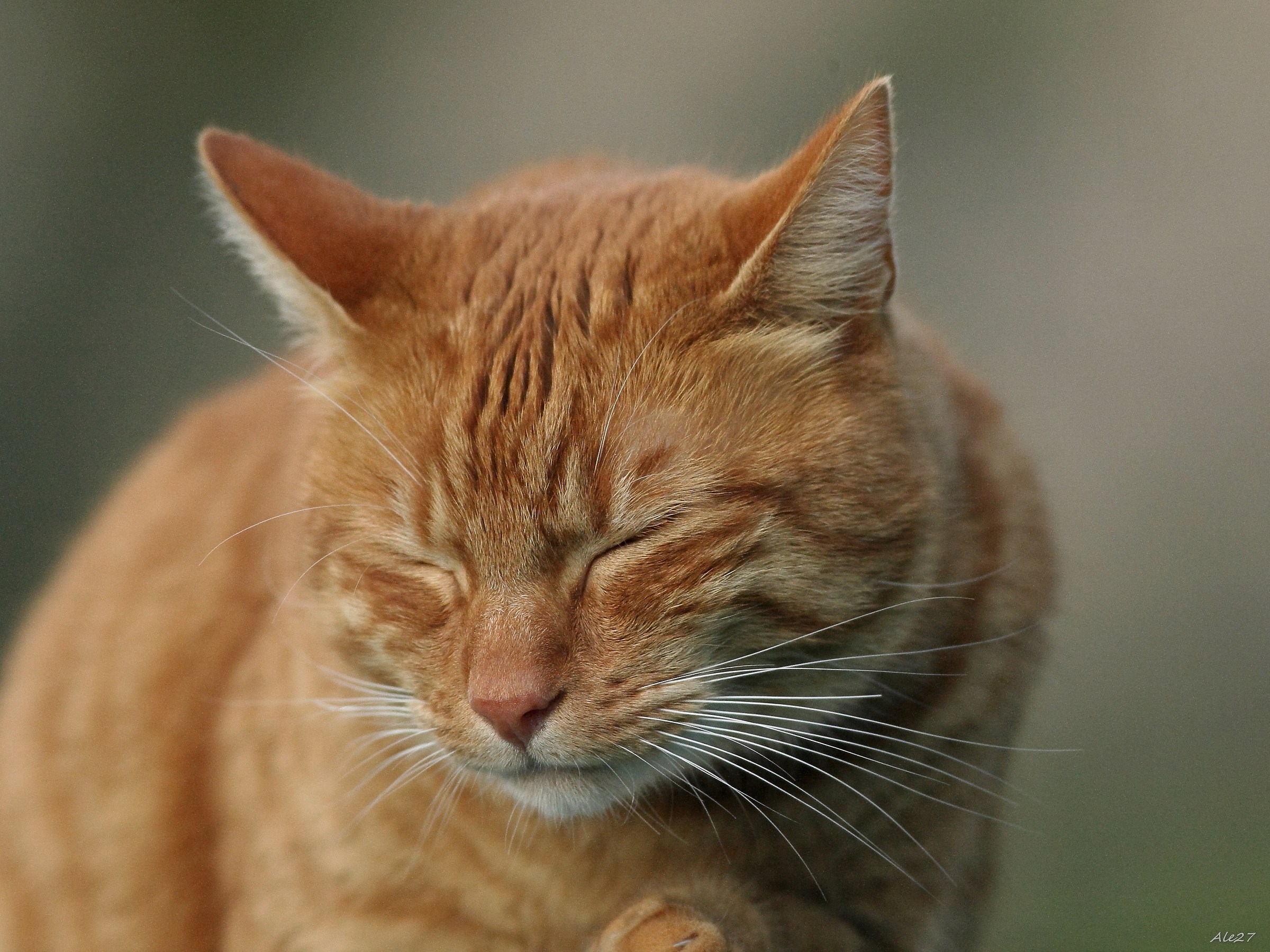 .... mamma miaaaa ... what a day !!!