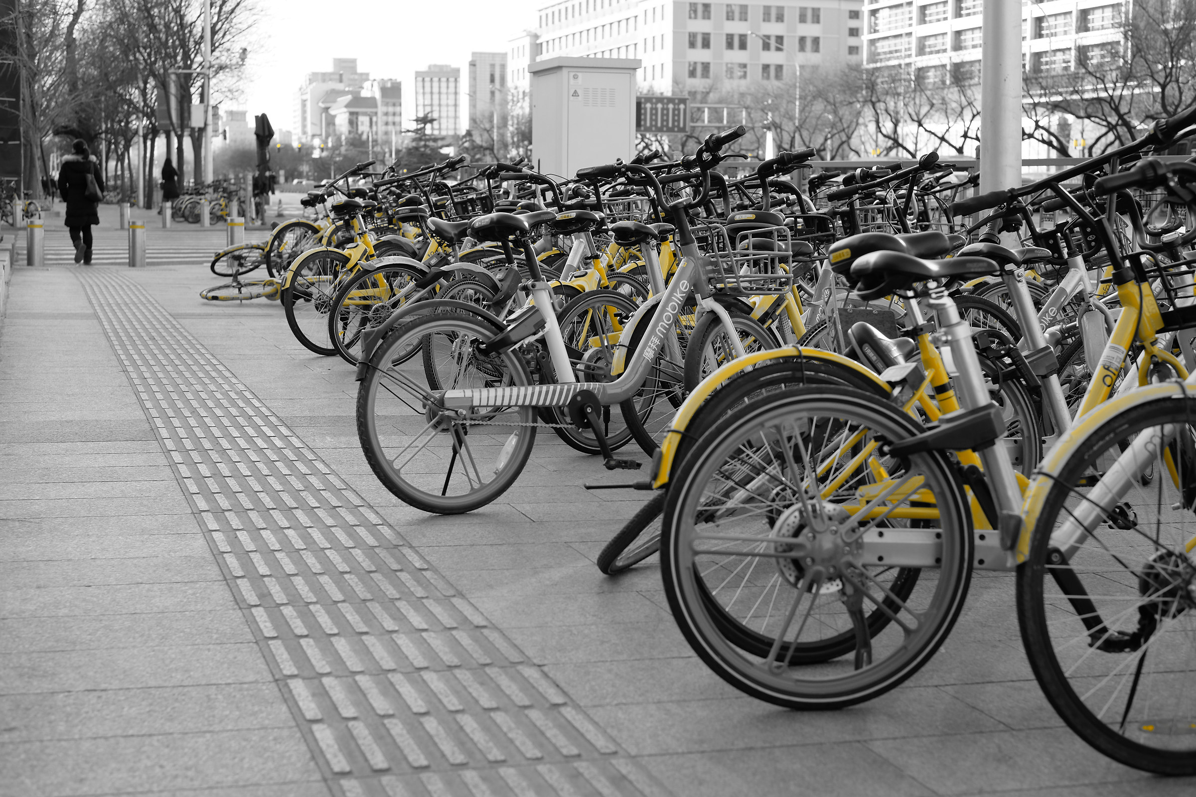 Ofo bikes