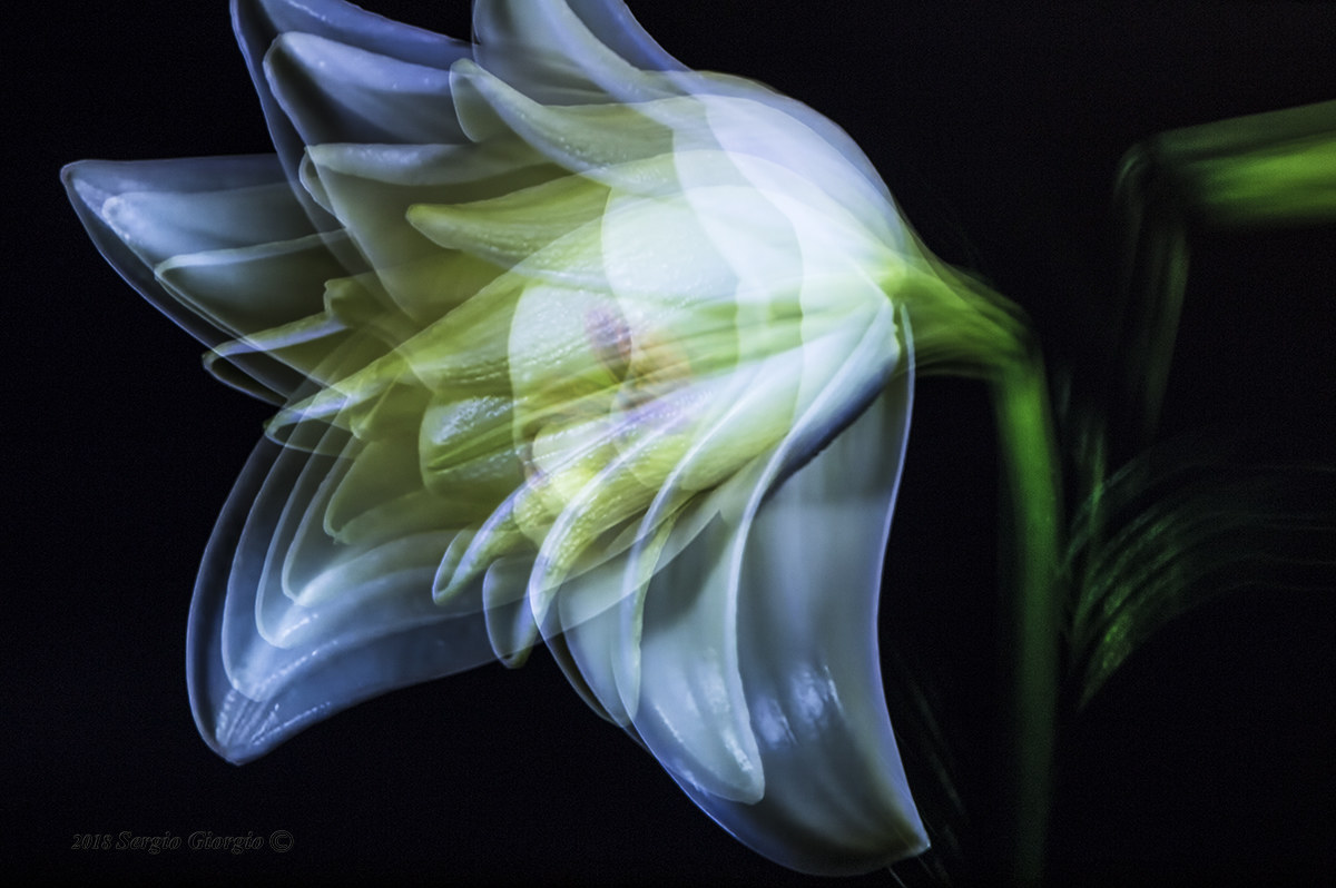 Waiting for the spring equinox