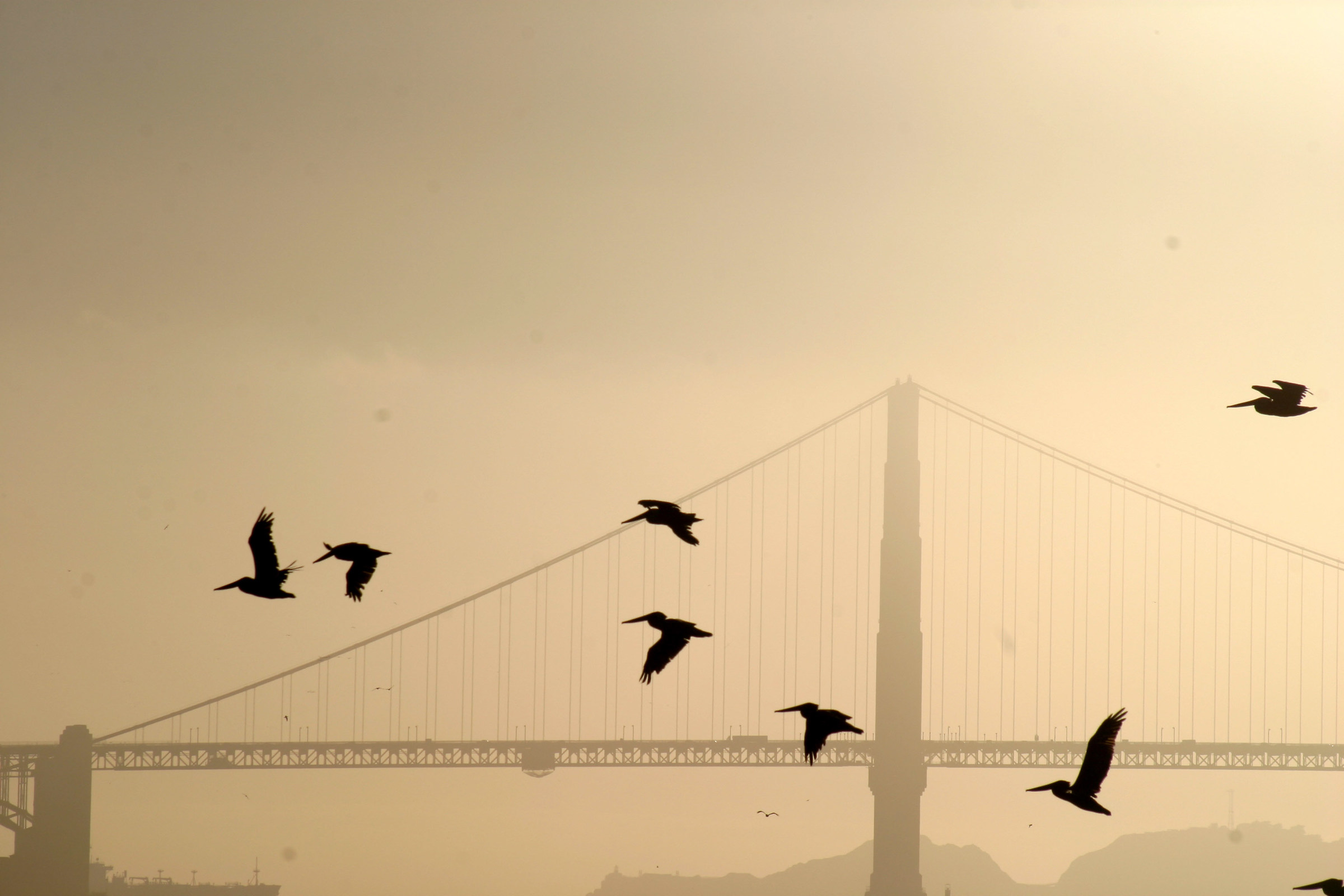Golden Gate al tramonto