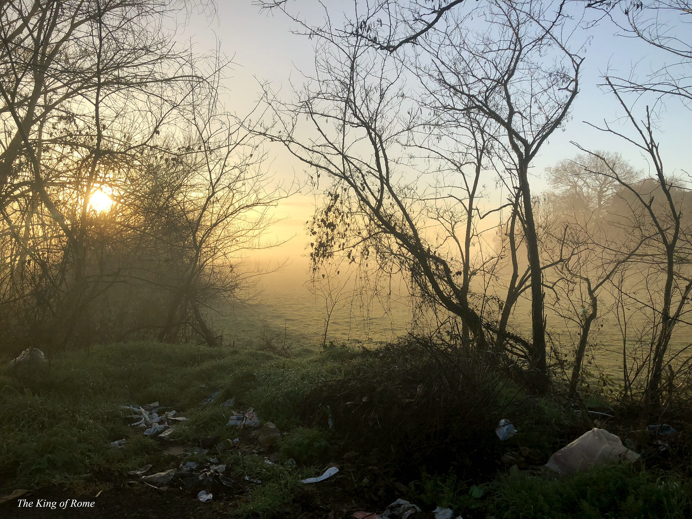 discarica all'alba di roma