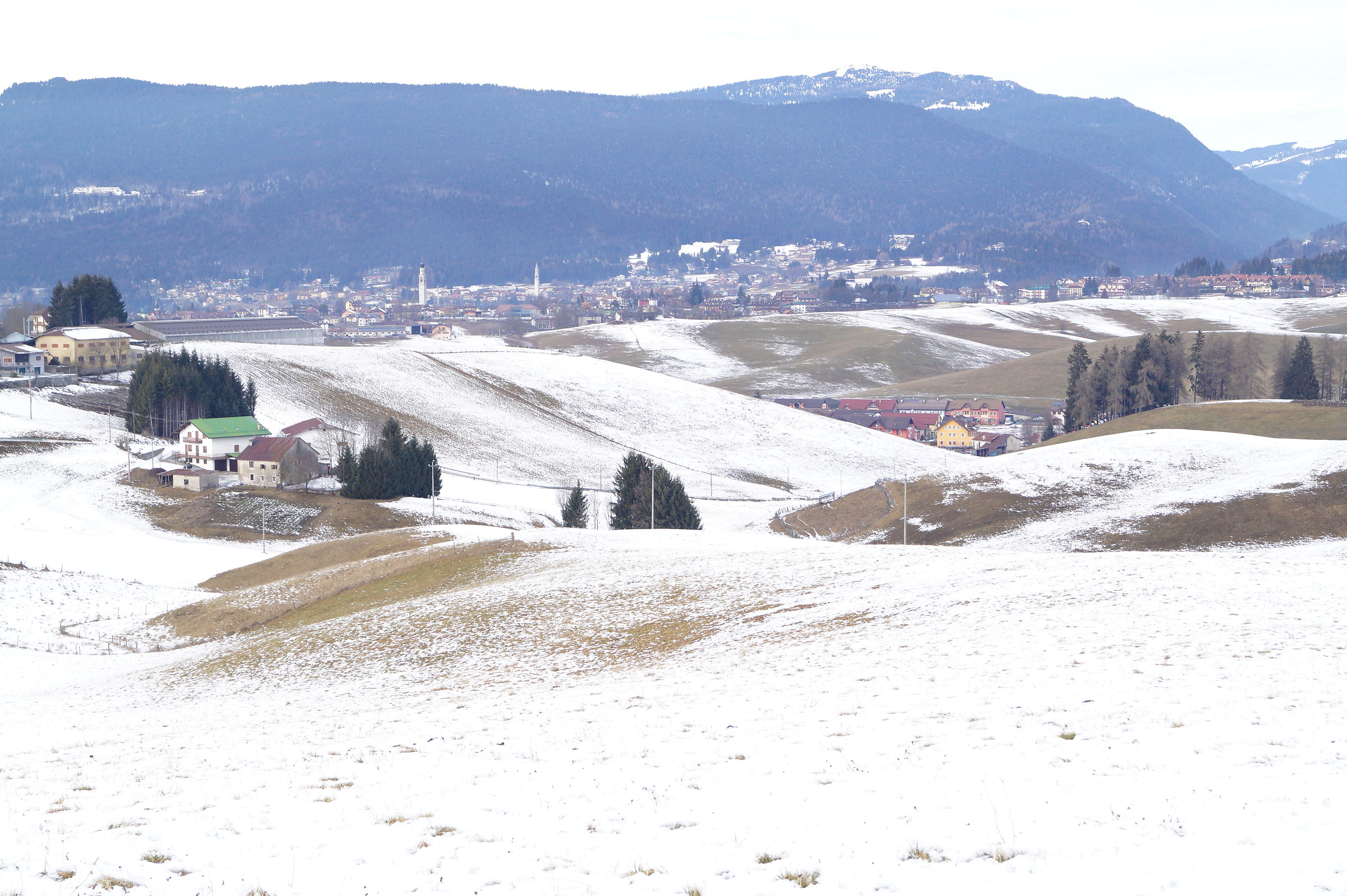 Asiago