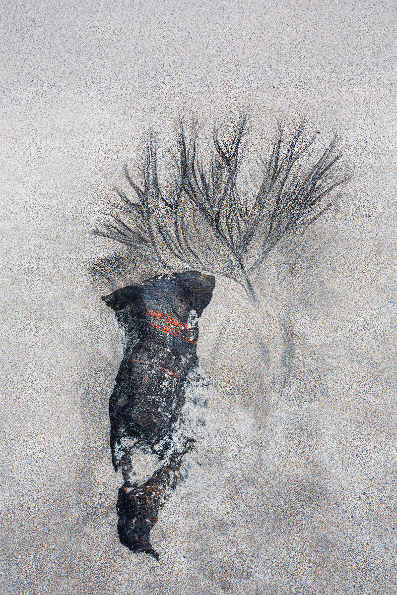 L'urlo della spiaggia