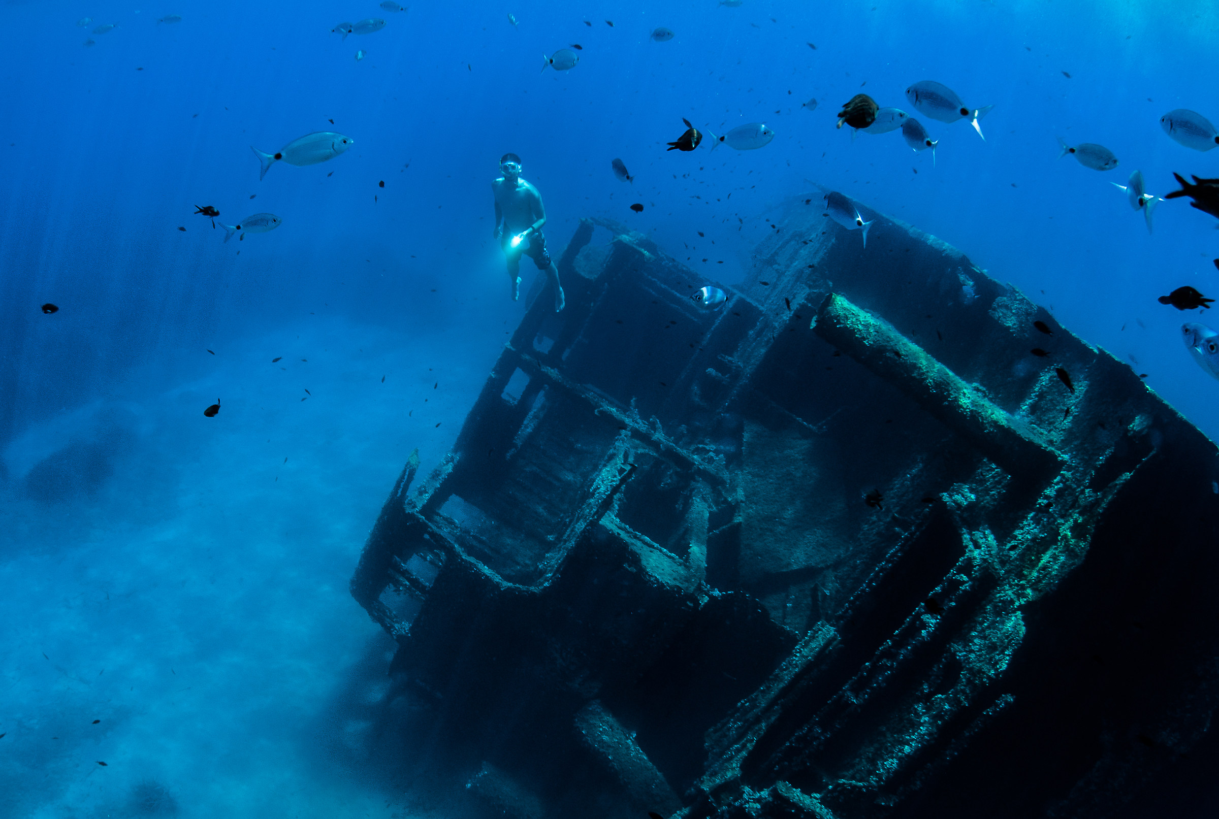 A Light into the Darkness