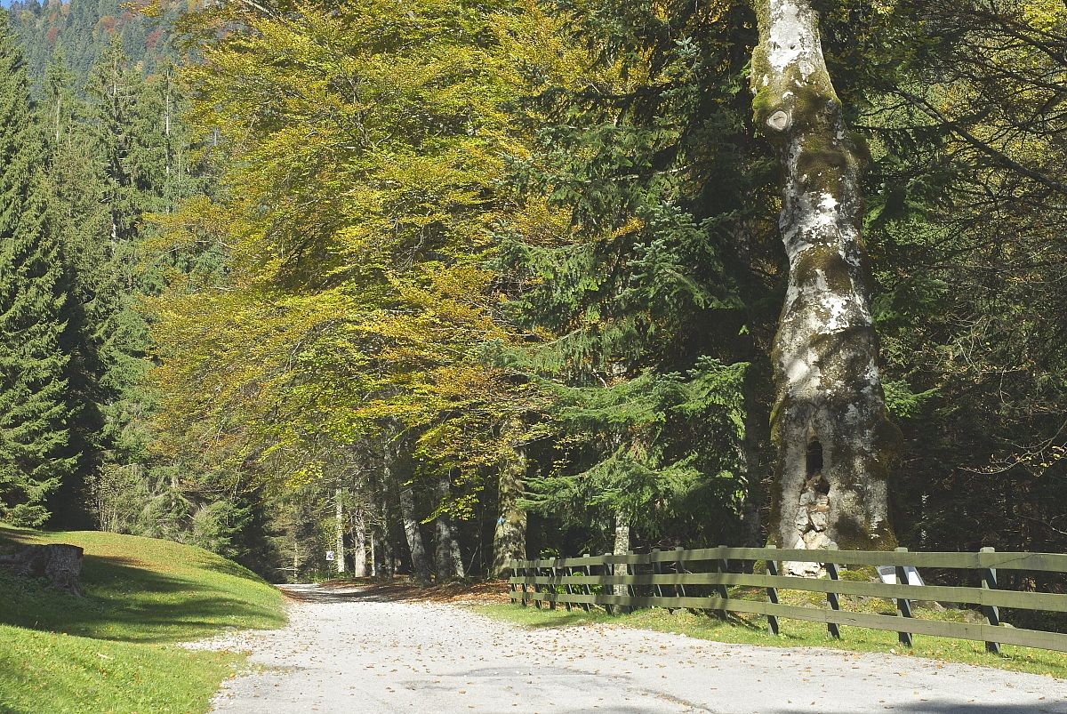 autumn stroll in Ledro
