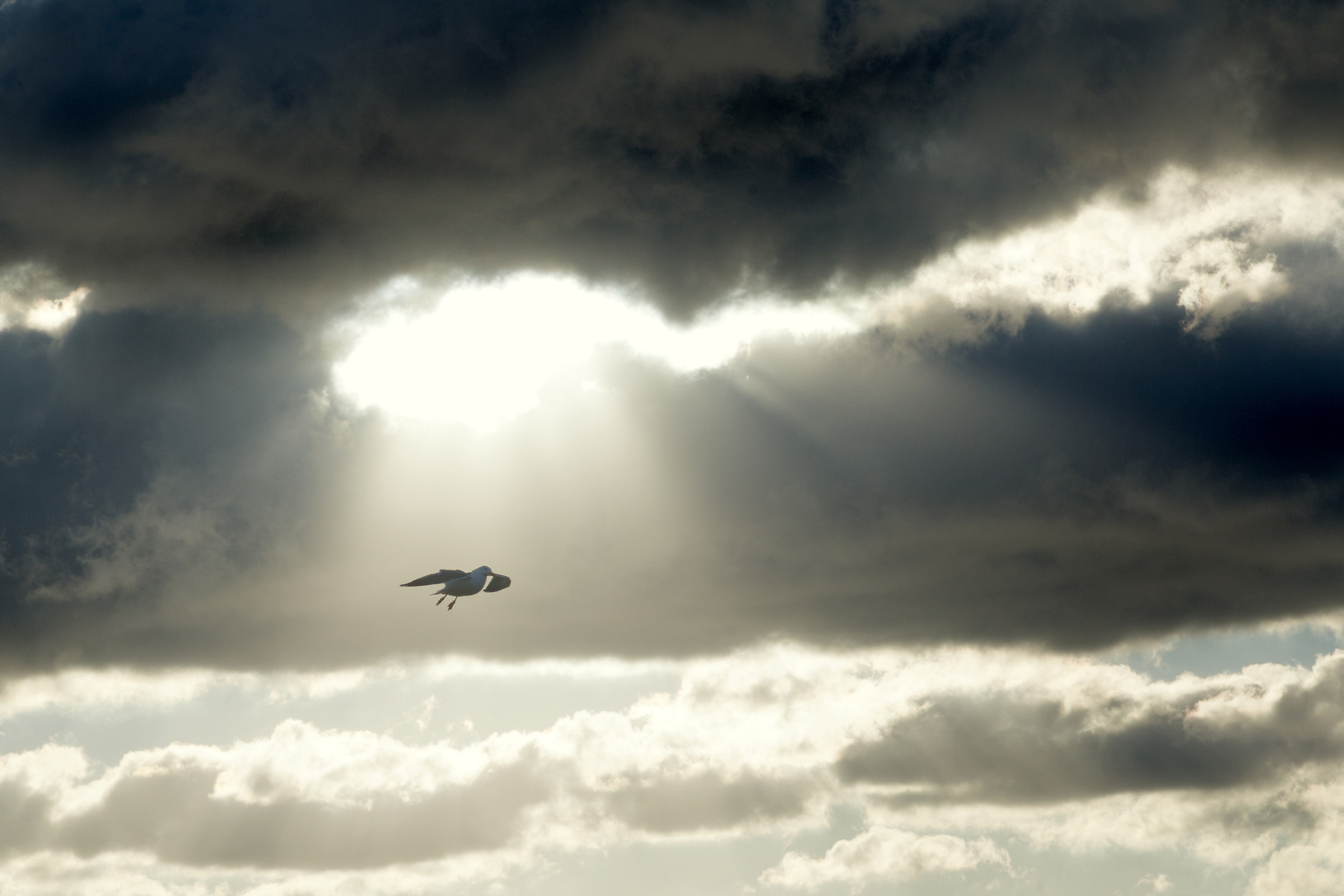 A flight in the light