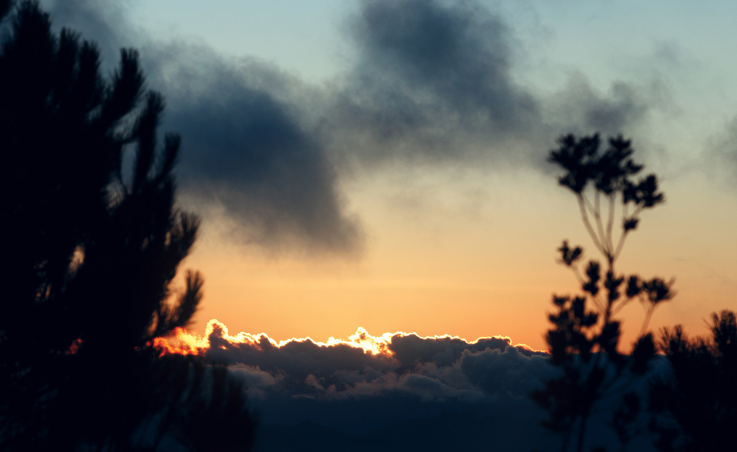 In the silence of light