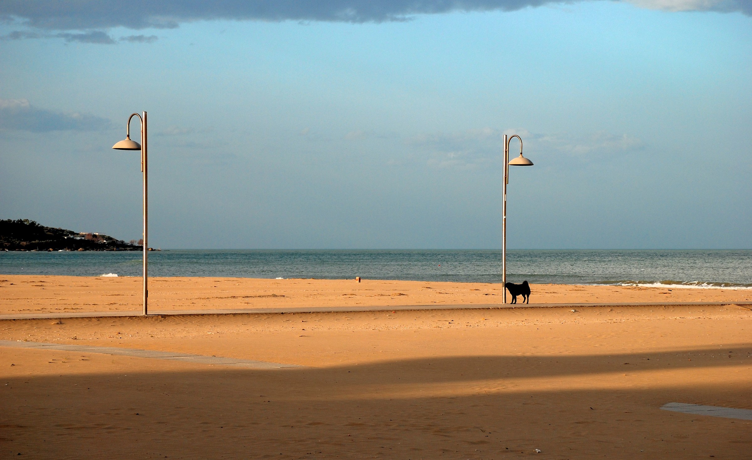 Who will be the Lucky ...