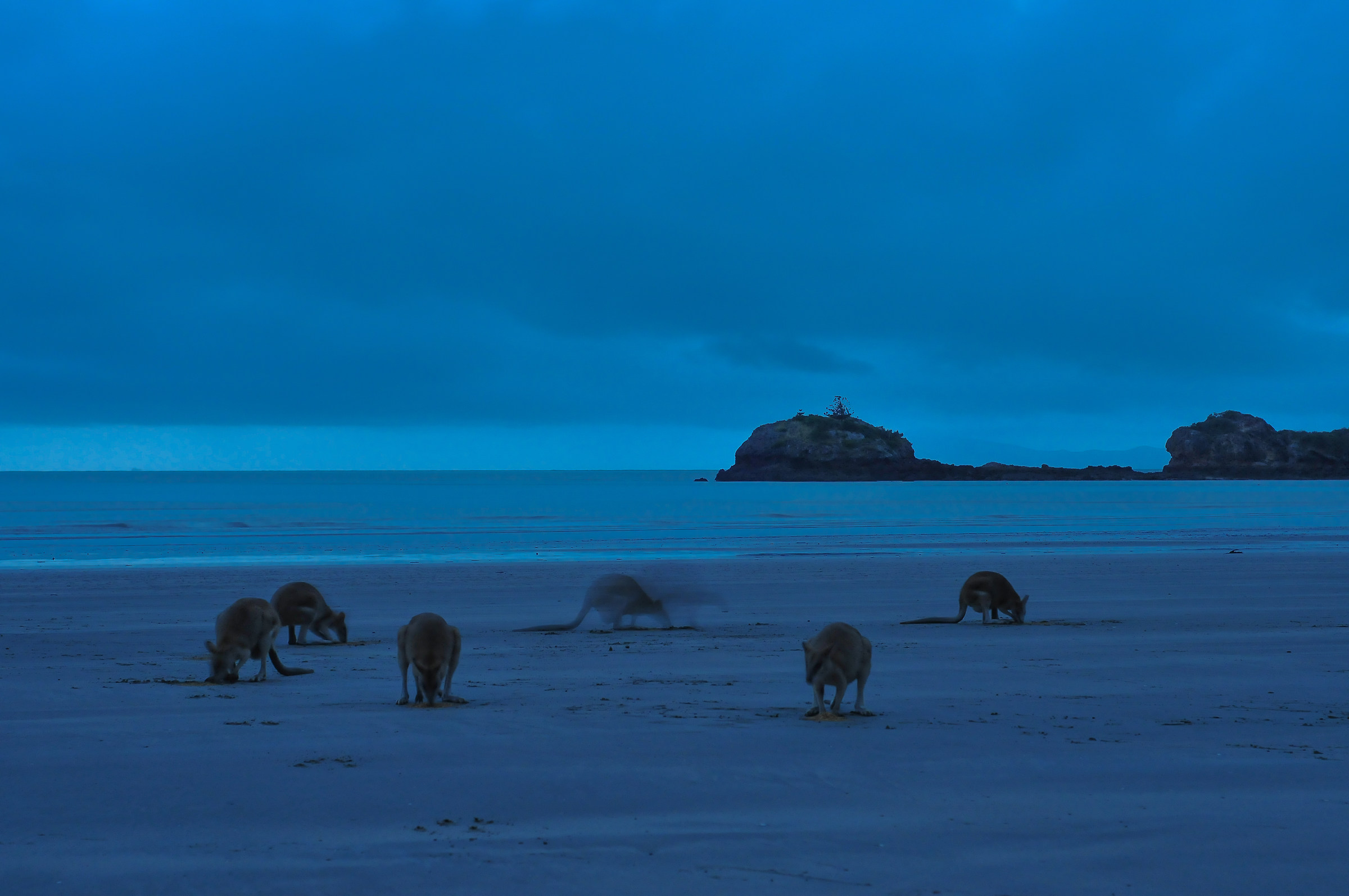 Lucky bay at dawn