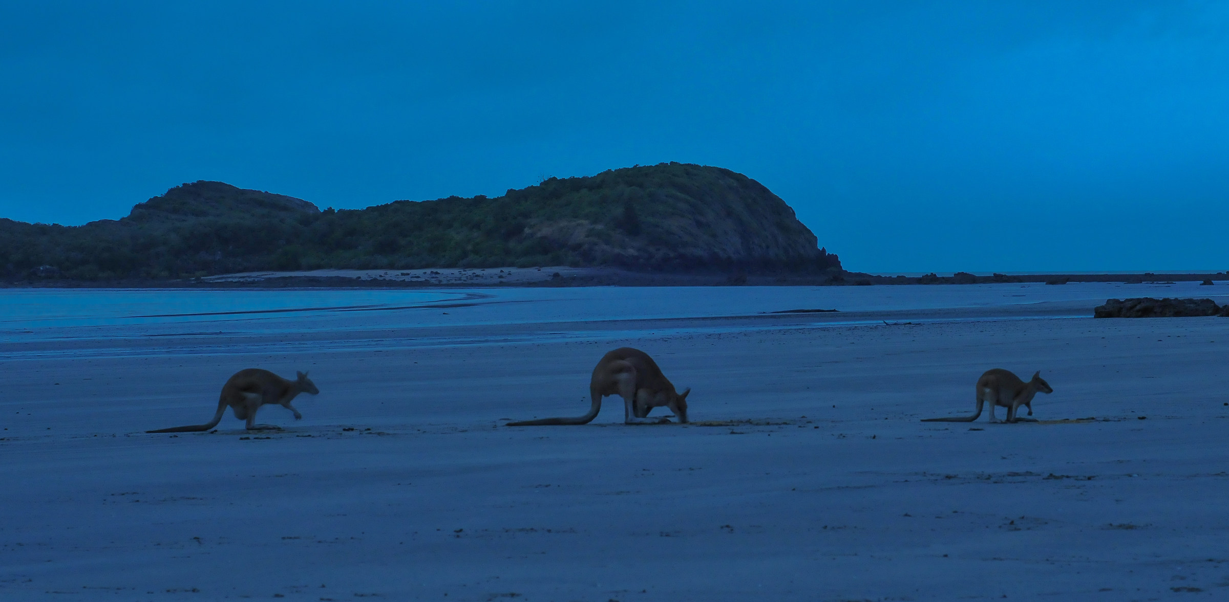 Lucky bay at dawn