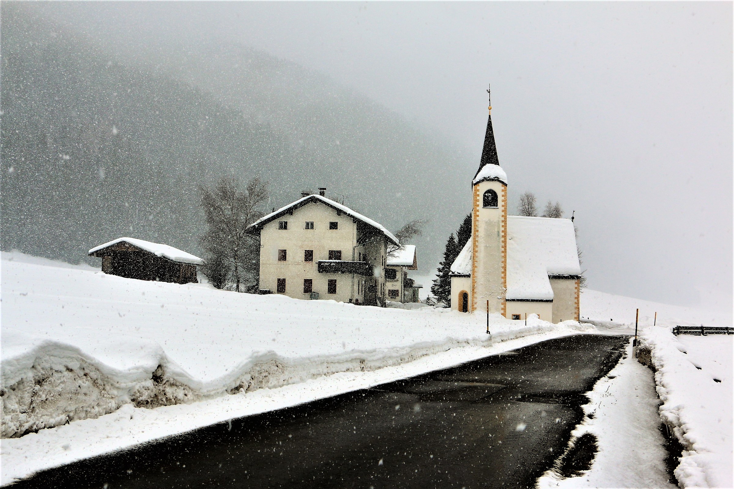 Magica Natura ci regala questo