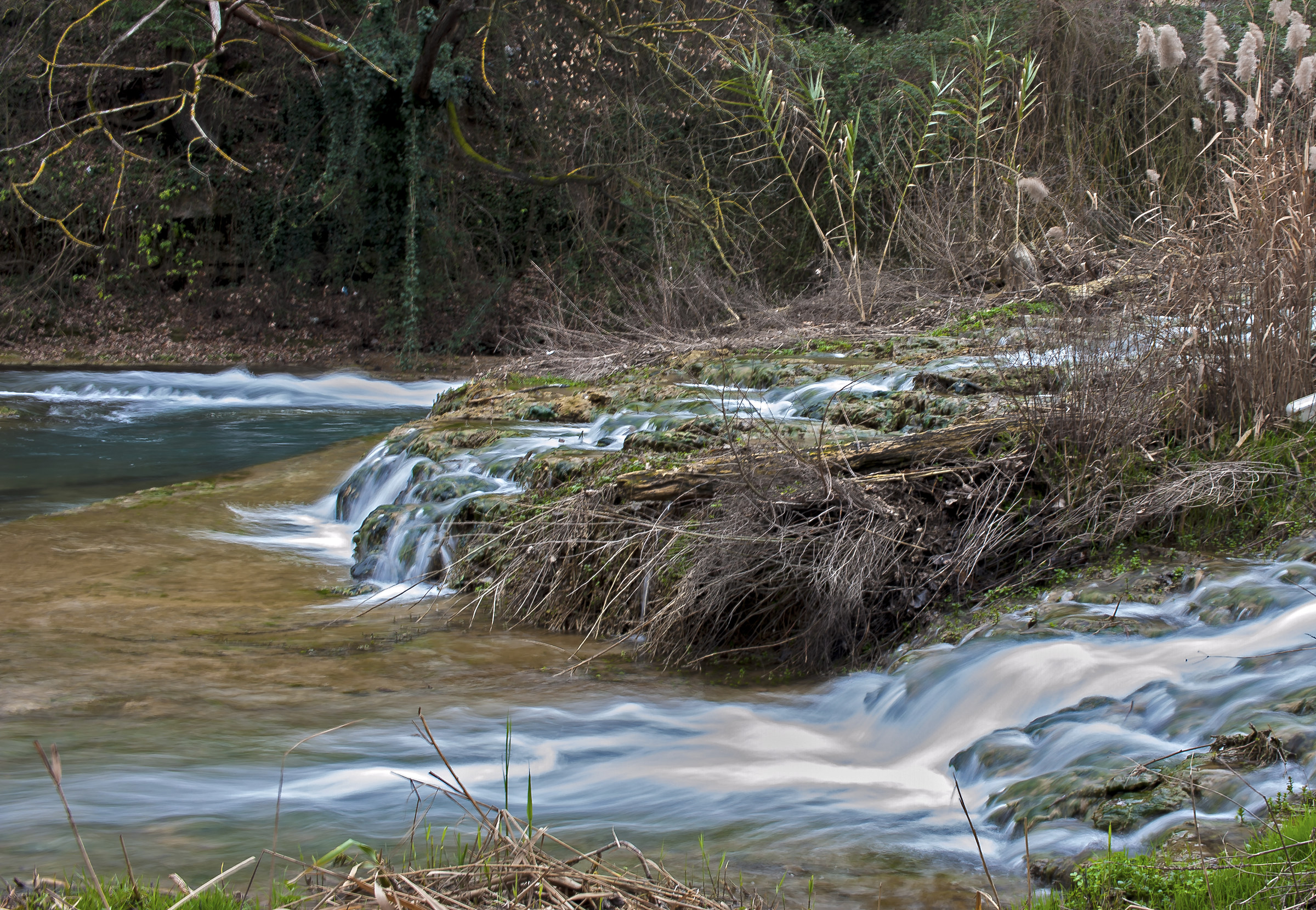Amare la natura,e cosa buona e giusta.