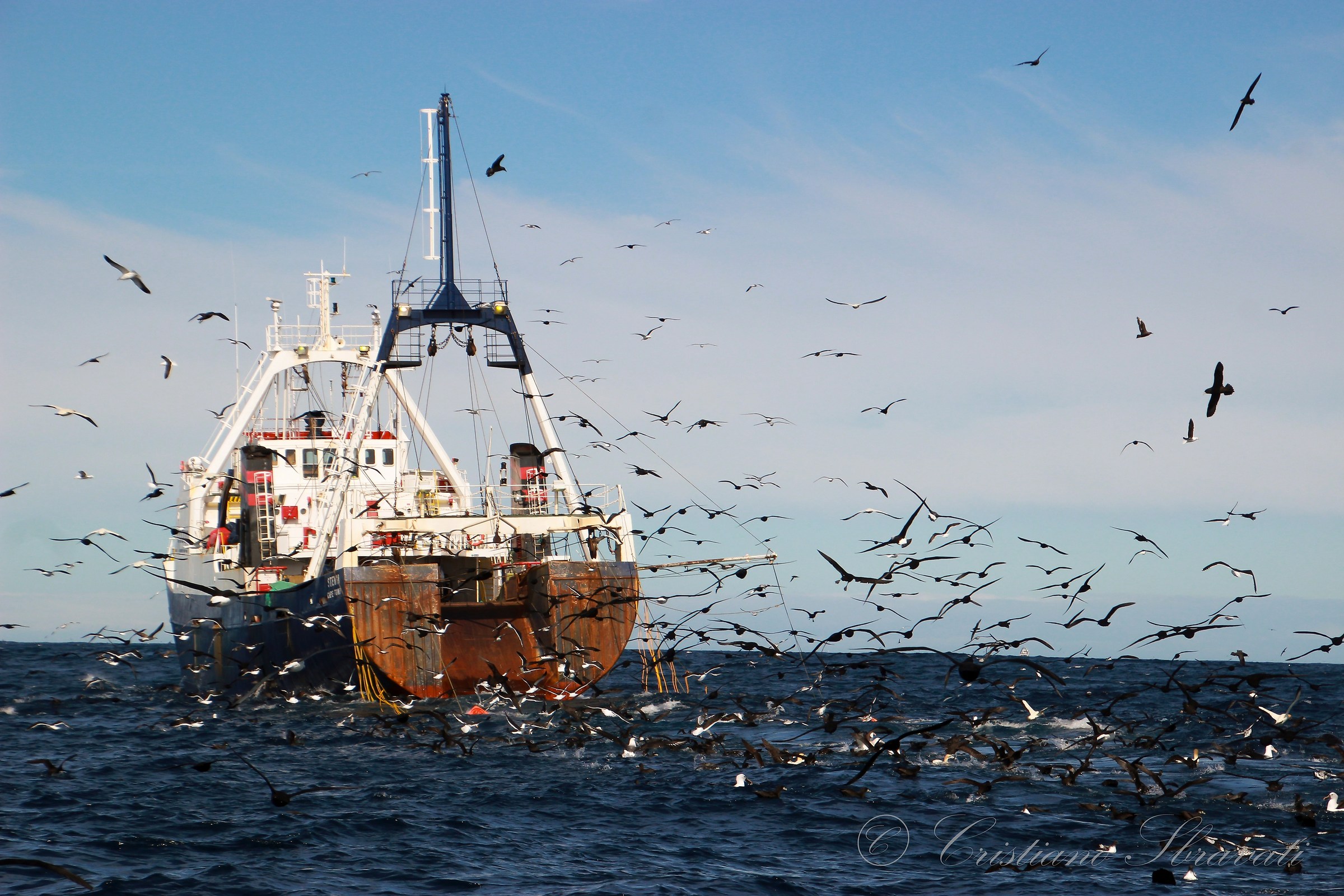 2 Oceanic fishing boat