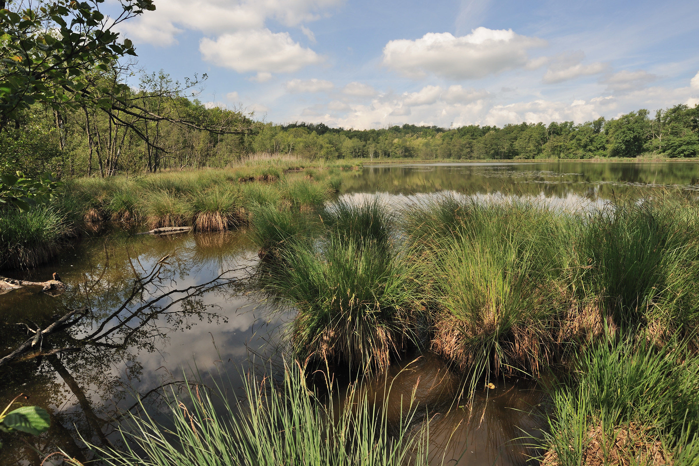 Cariceto on the Lagone