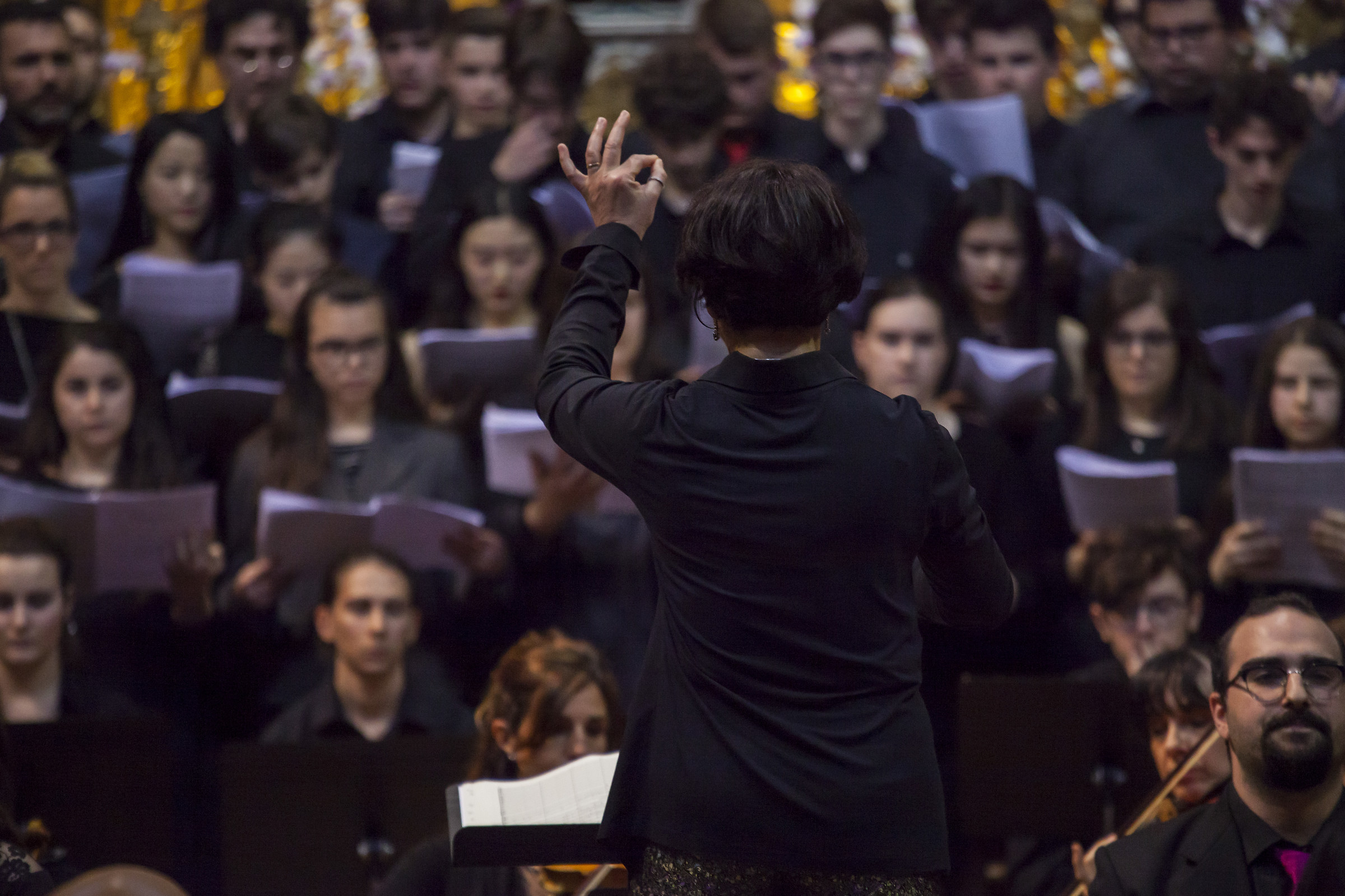 La Rotonda di Rovigo Aprile 2017