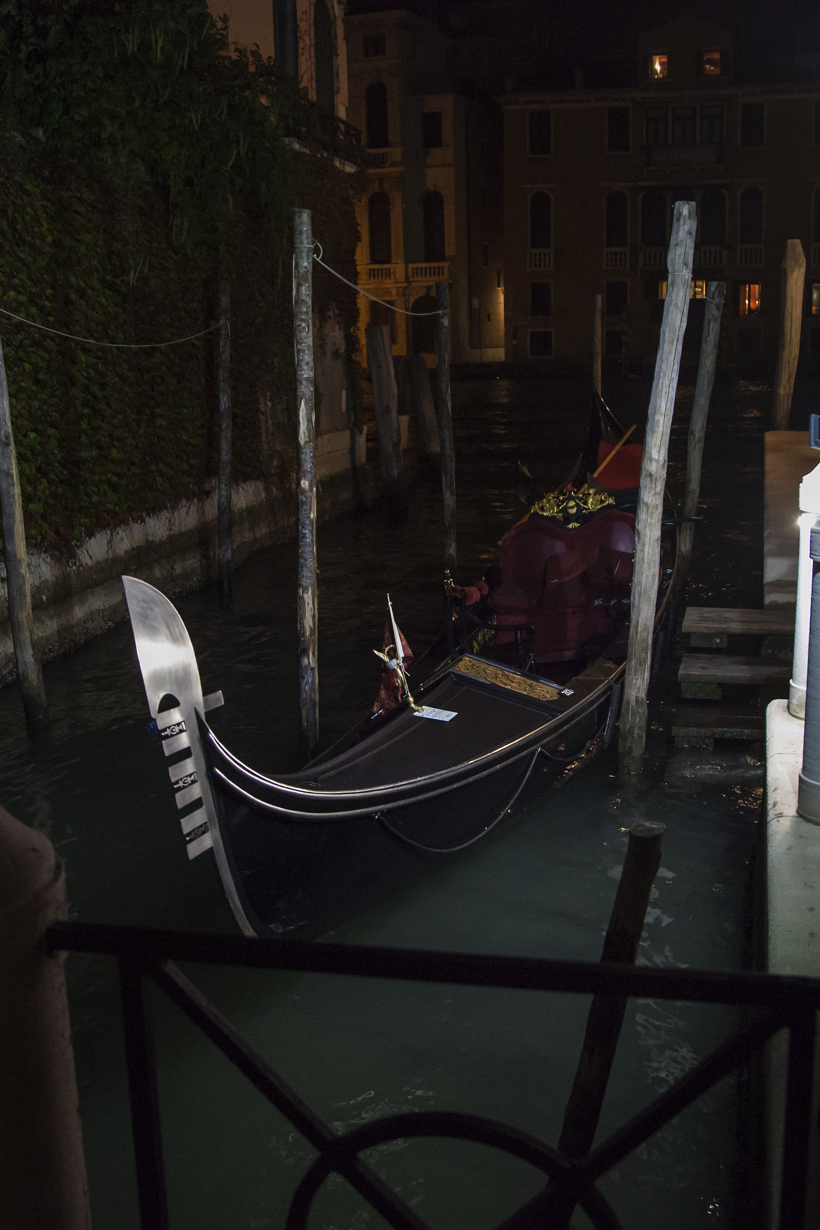 Venezia notturno 2017