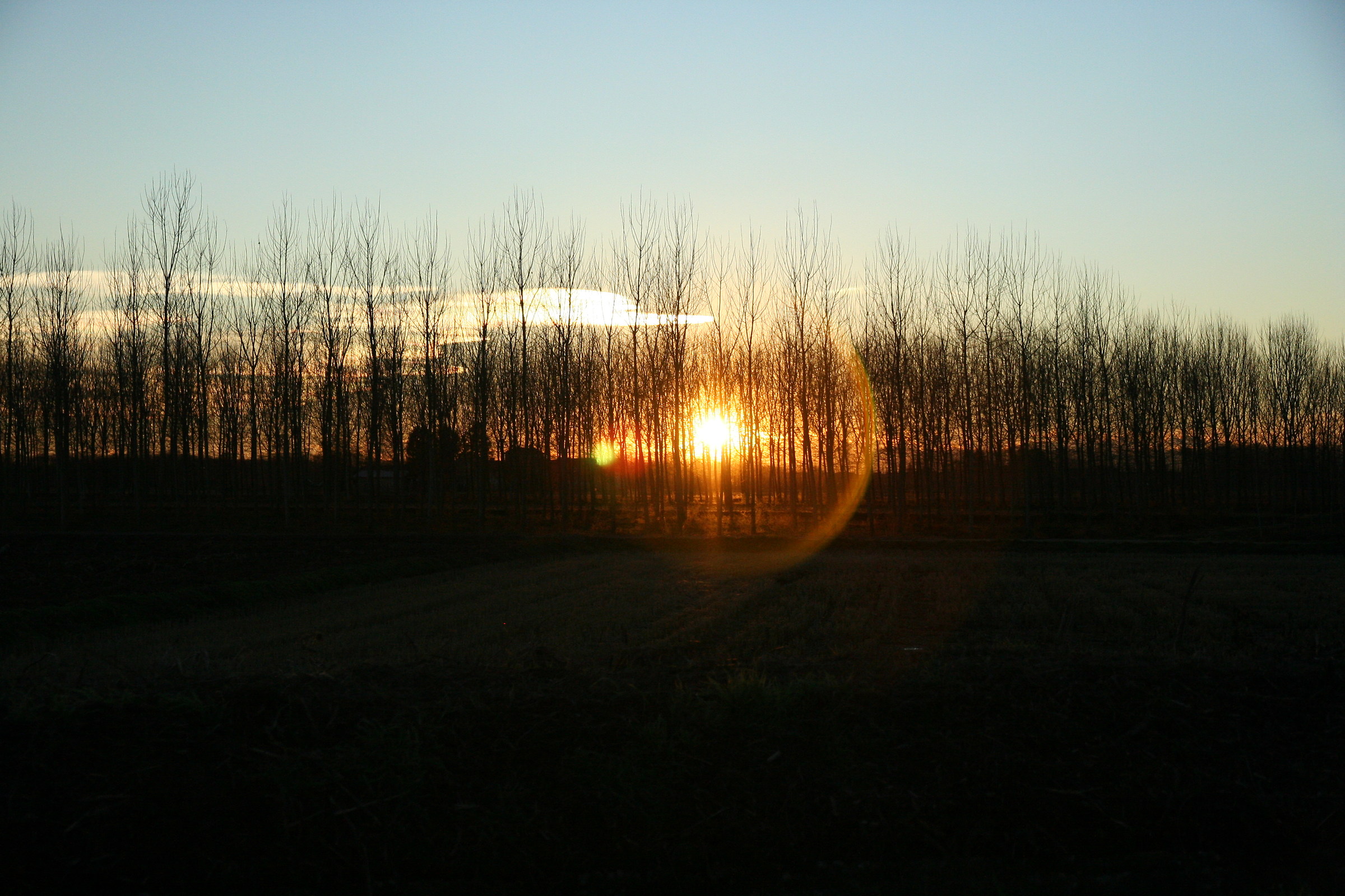 Gravellona Lomellina