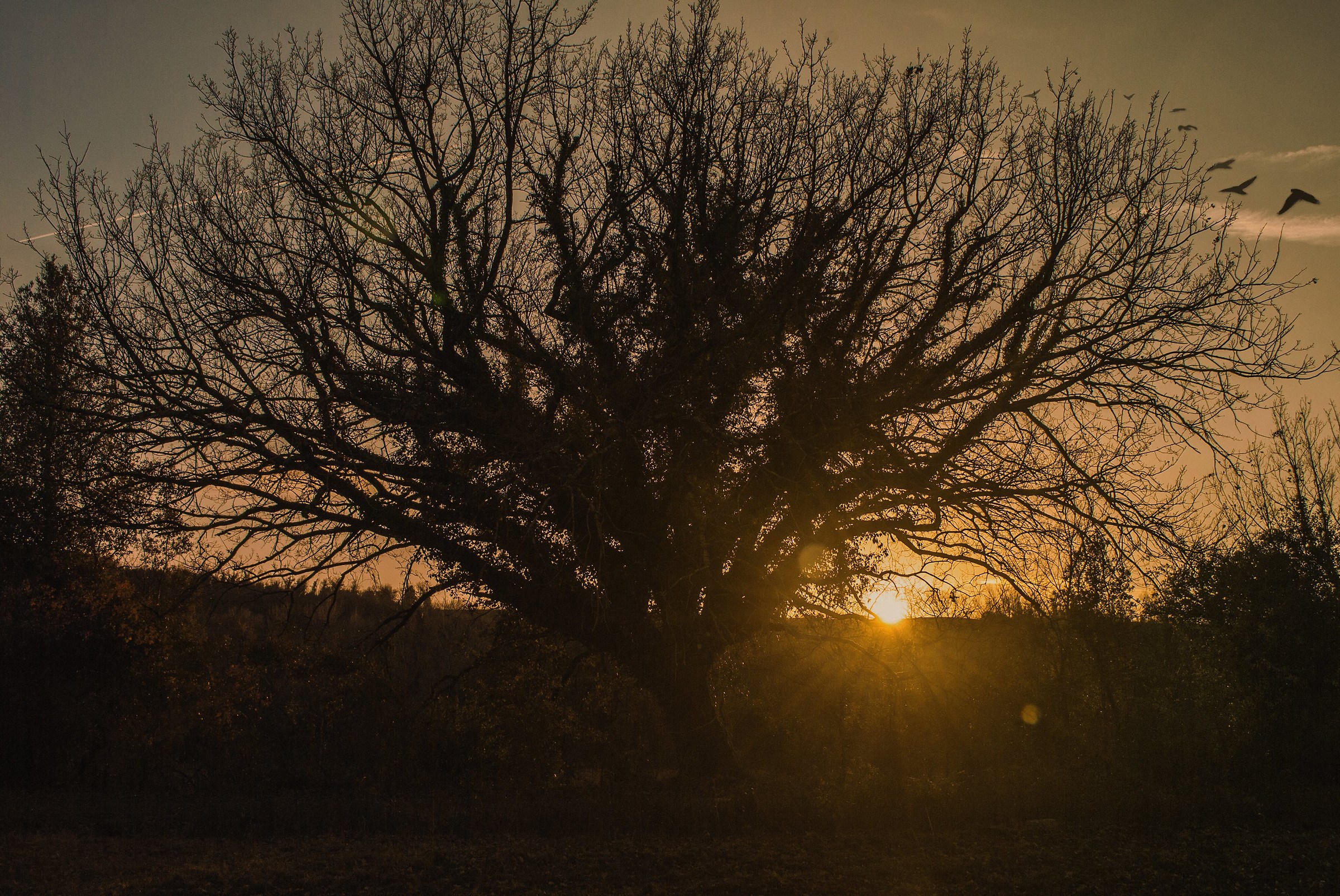 Il Giorno Che Vola Via