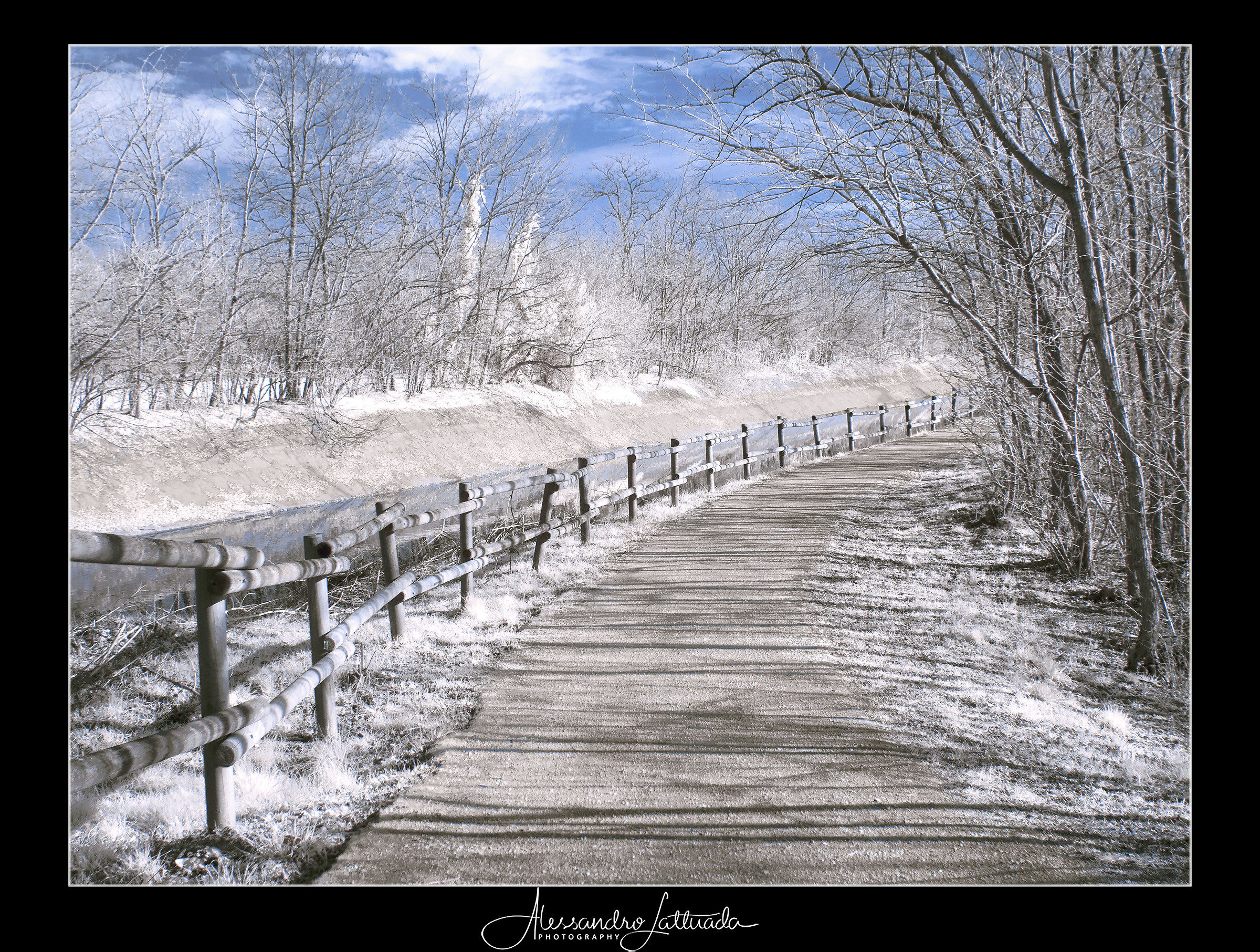 Castano Primo infrared