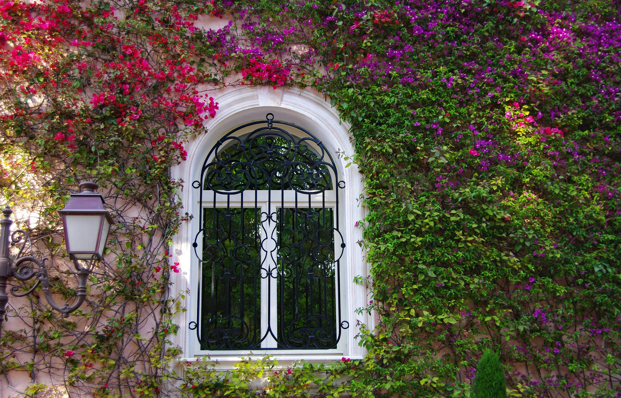 Beaulieu sur Mer (Francia): Finestra